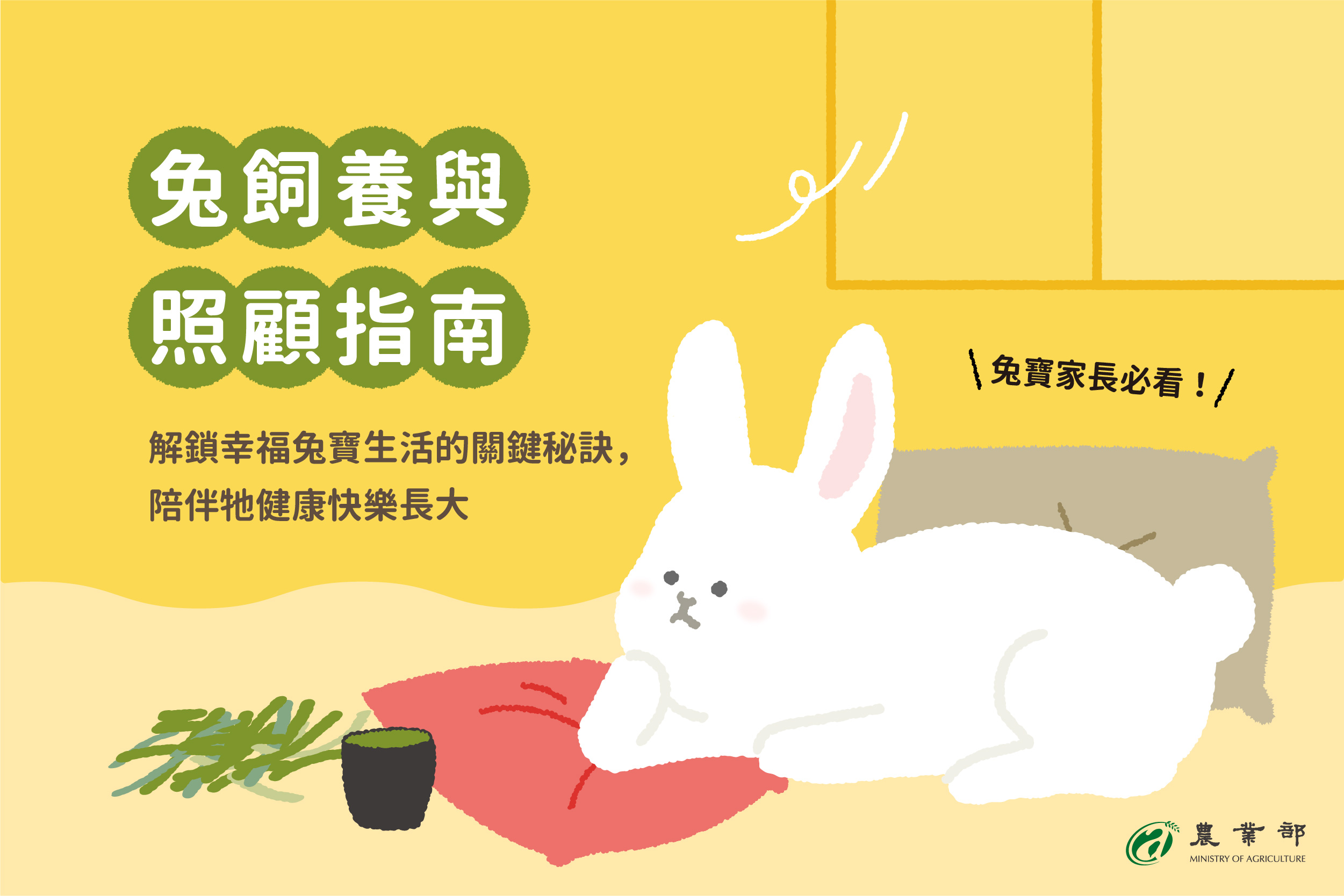 兔家長們集合！詳閱兔兔照顧指南，陪她健康快樂的成長吧！   圖片集錦，共 12 張