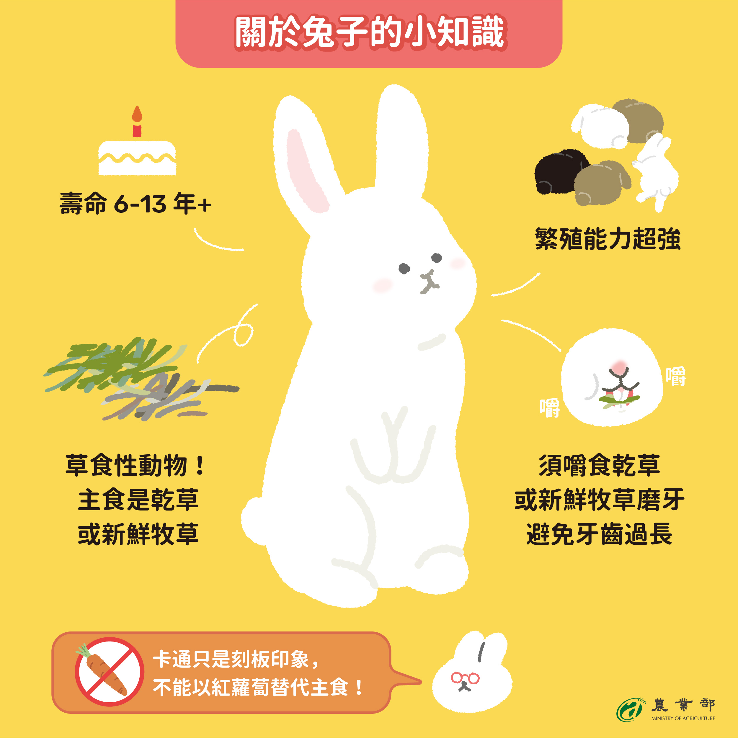 兔家長們集合！詳閱兔兔照顧指南，陪她健康快樂的成長吧！  圖片集錦，共 12 張