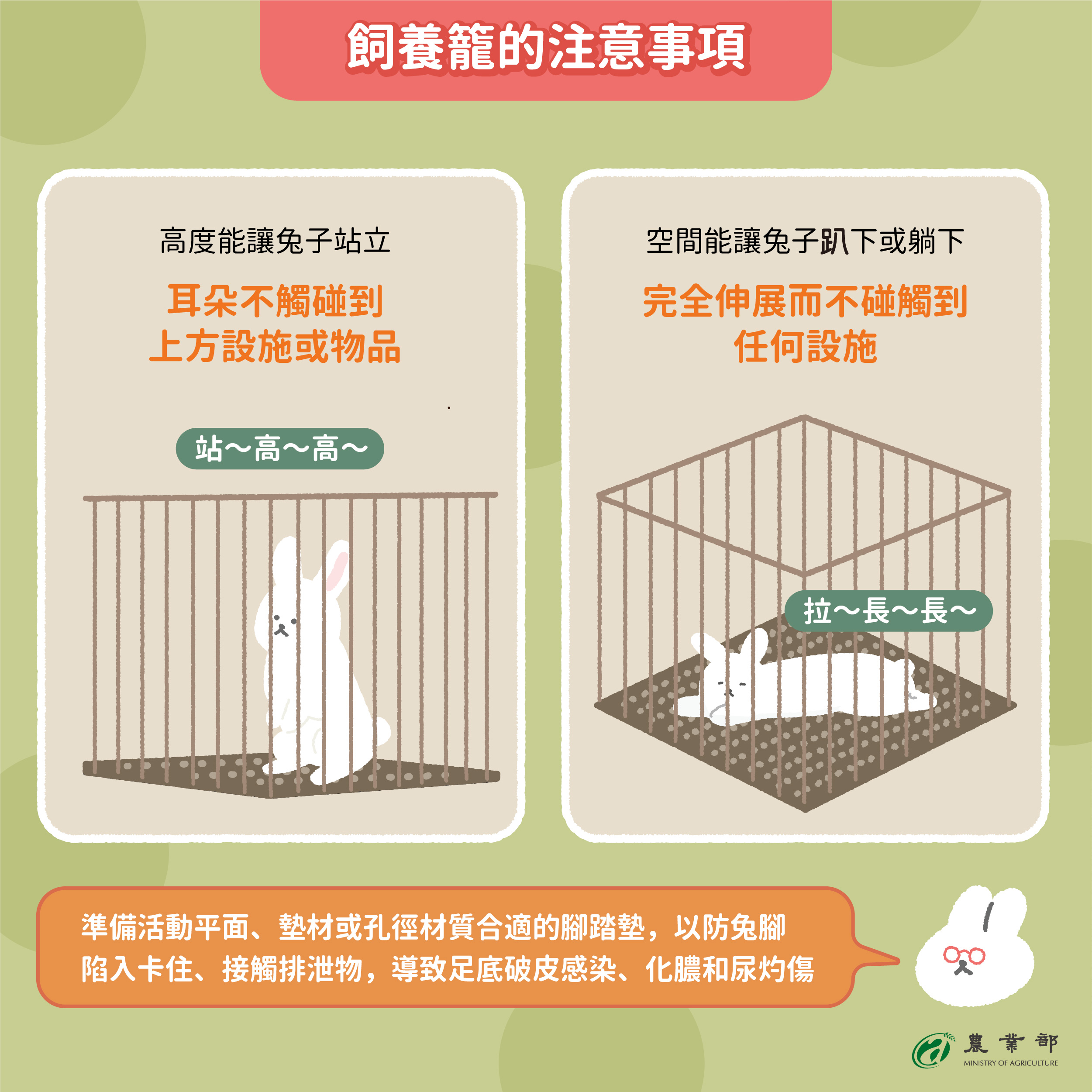 0727-新logo-兔子飼養懶人包_兔子懶人包-5.jpg