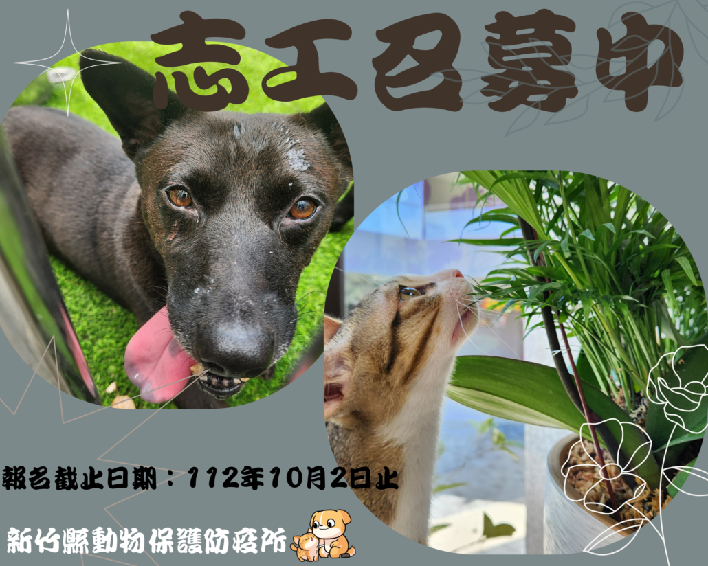 新竹縣動物保護教育園區 召募熱血志工!  圖片集錦，共 1 張
