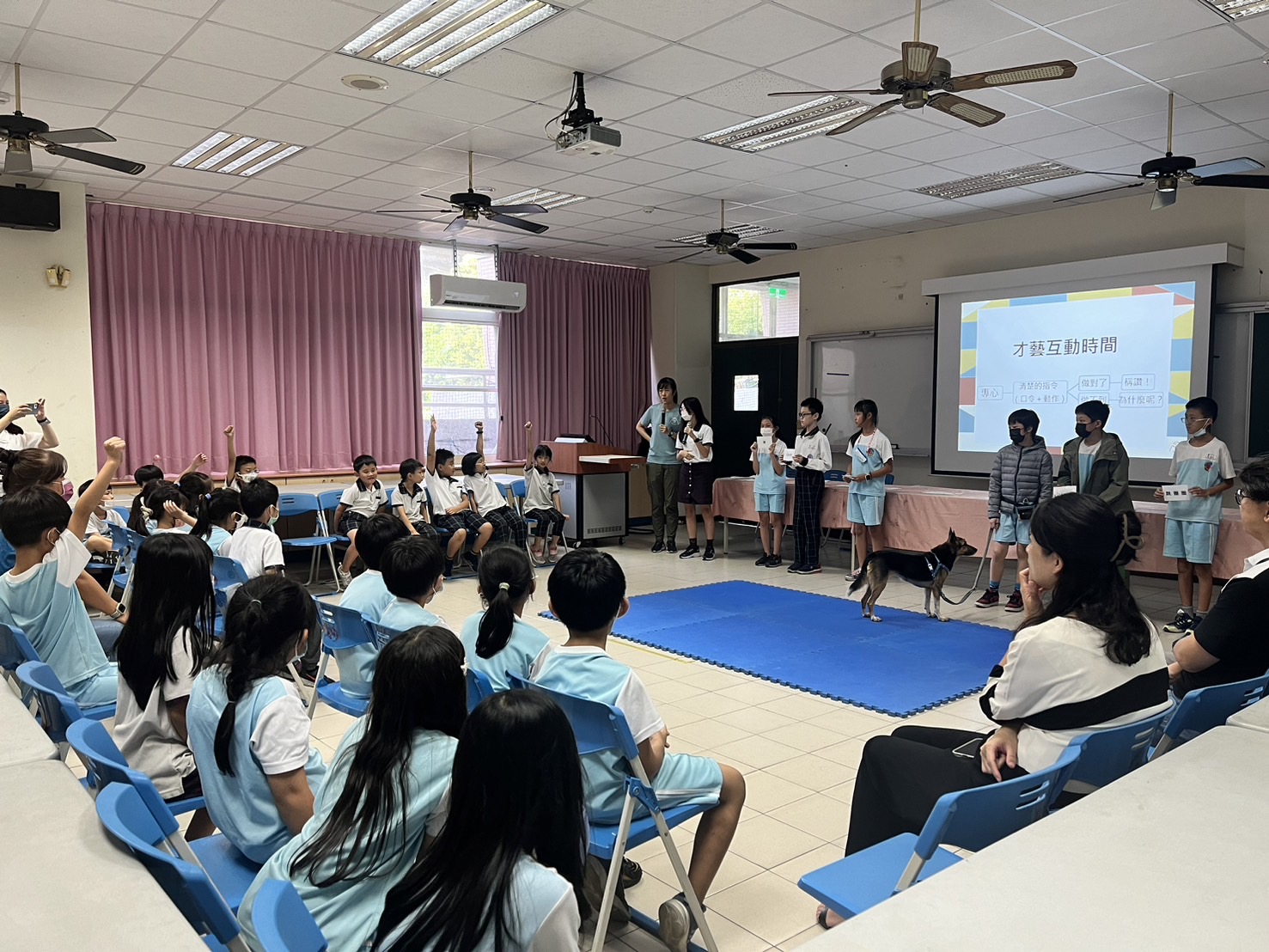 臺中市動保深度教育-療癒犬擔任小助教啟發孩子的同理心與提升自信心  圖片集錦，共 5 張