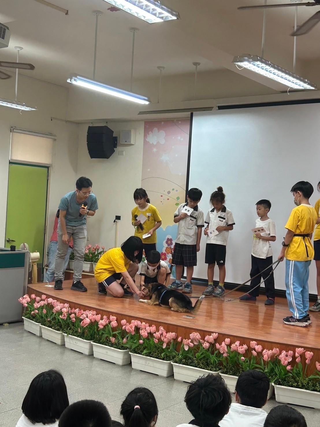 臺中市動保深度教育-療癒犬擔任小助教啟發孩子的同理心與提升自信心 圖片集錦，共 5 張