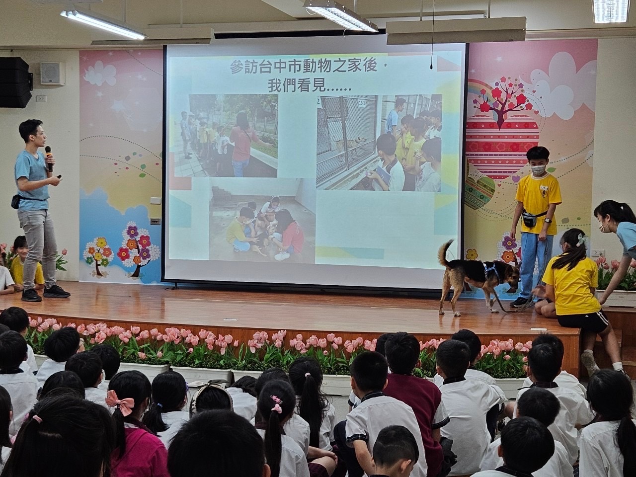 與觀眾分享參訪動物之家的心得.jpg