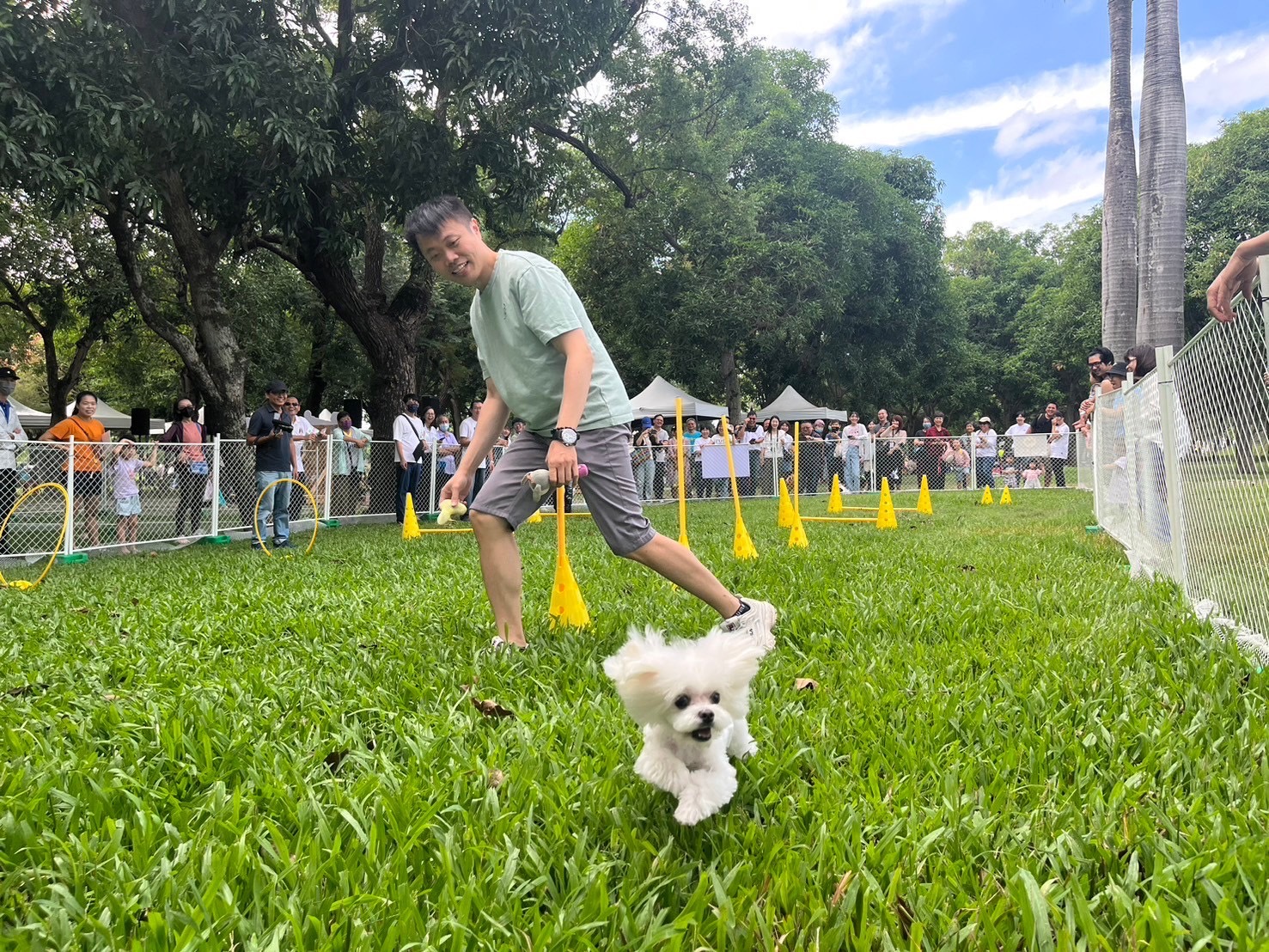 「親愛的我PET你2.0 毛孩SHOWTIME」野餐日活動，毛孩大展身手魅力無限 圖片集錦，共 10 張