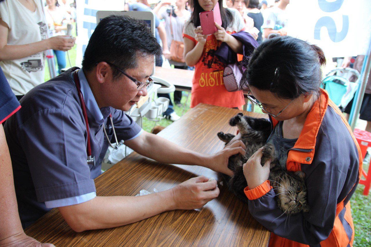 毛孩暖心過新年 義剪義診攜手守護毛孩健康 圖片集錦，共 2 張