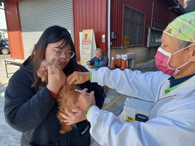 中市開春迎新 大家快來參加犬貓狂犬病巡迴注射活動！  圖片集錦，共 1 張