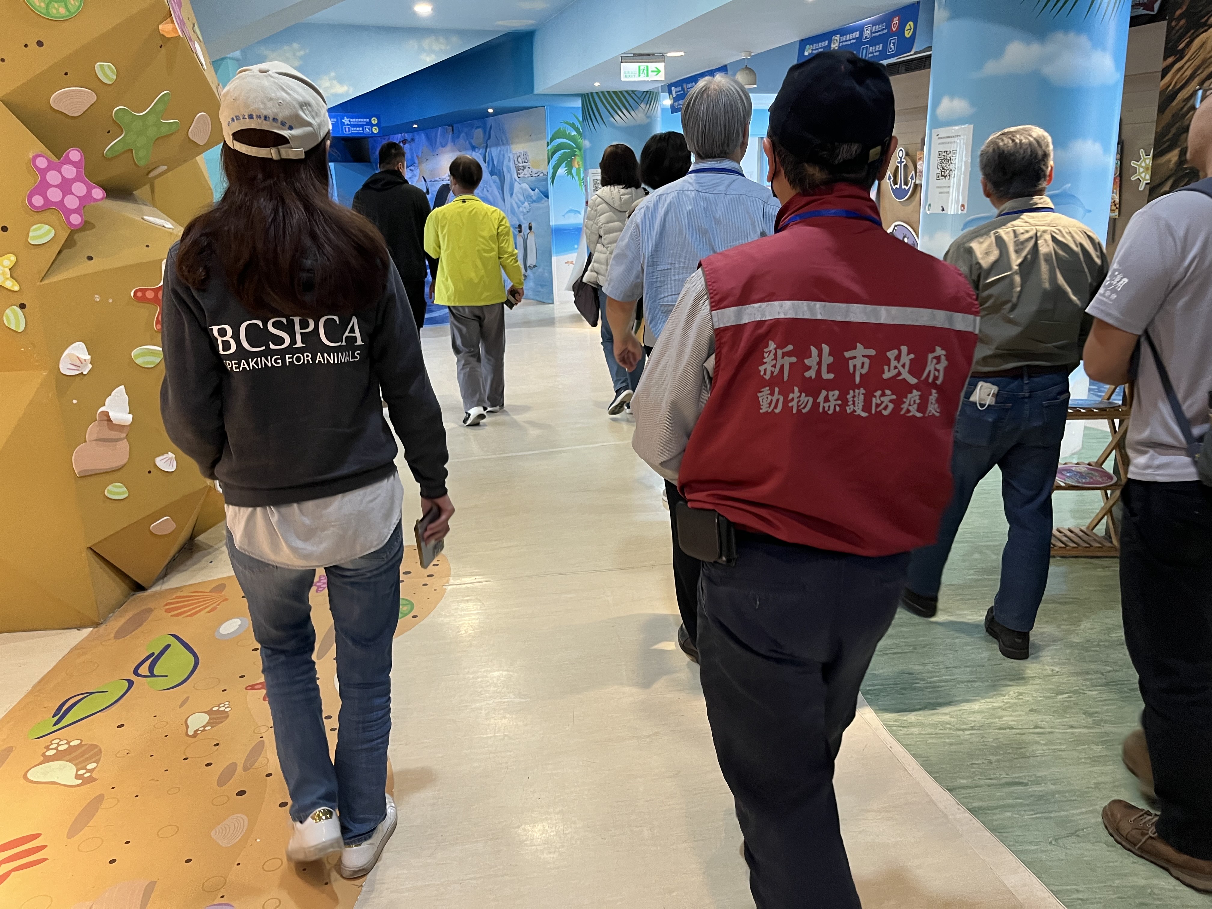 新北市動保處推動野柳海洋世界轉型為海洋保育教育場域 圖片集錦，共 7 張