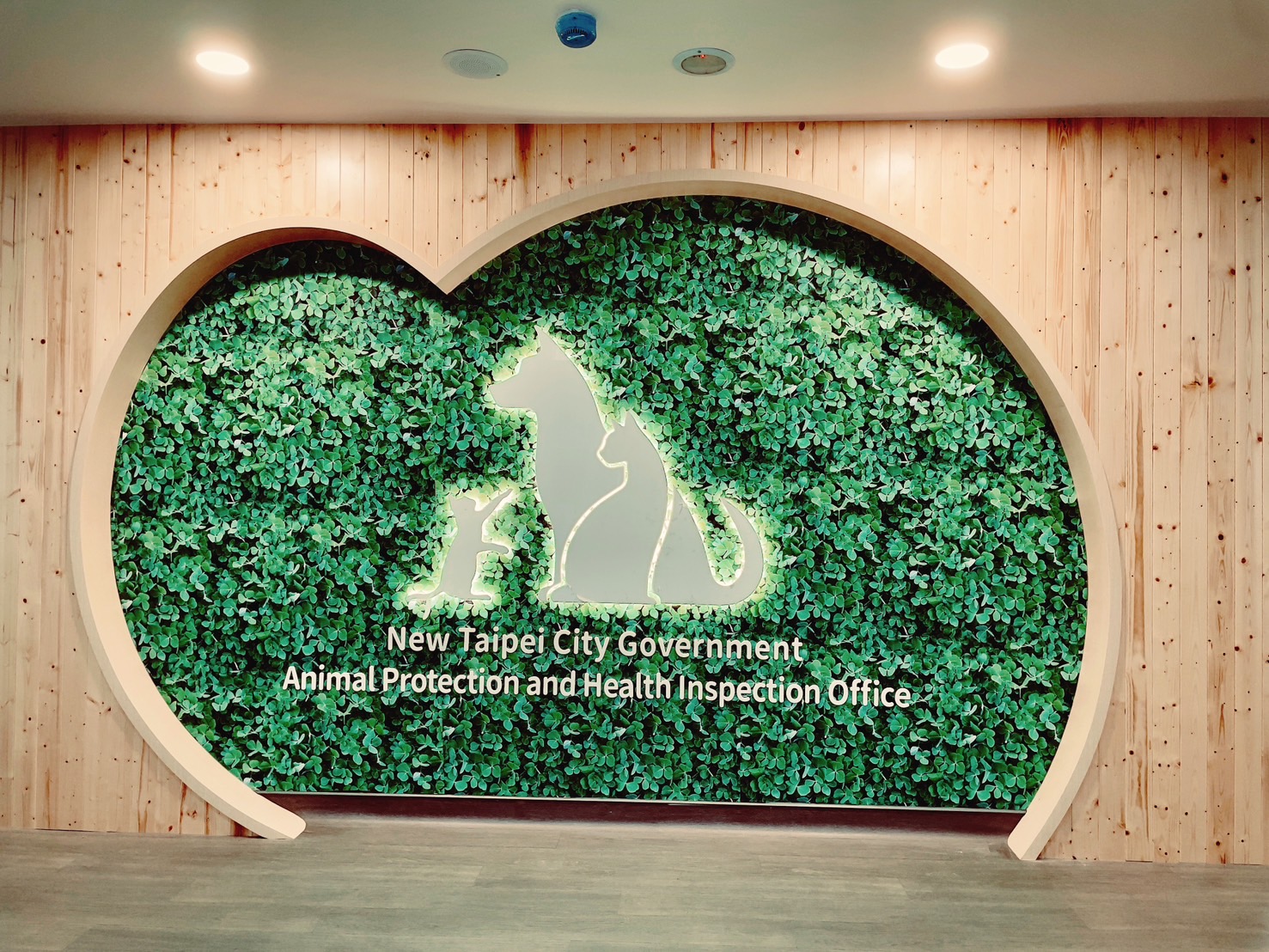 新北市動保處為喵星人打造最友善的動物辦公室 圖片集錦，共 7 張