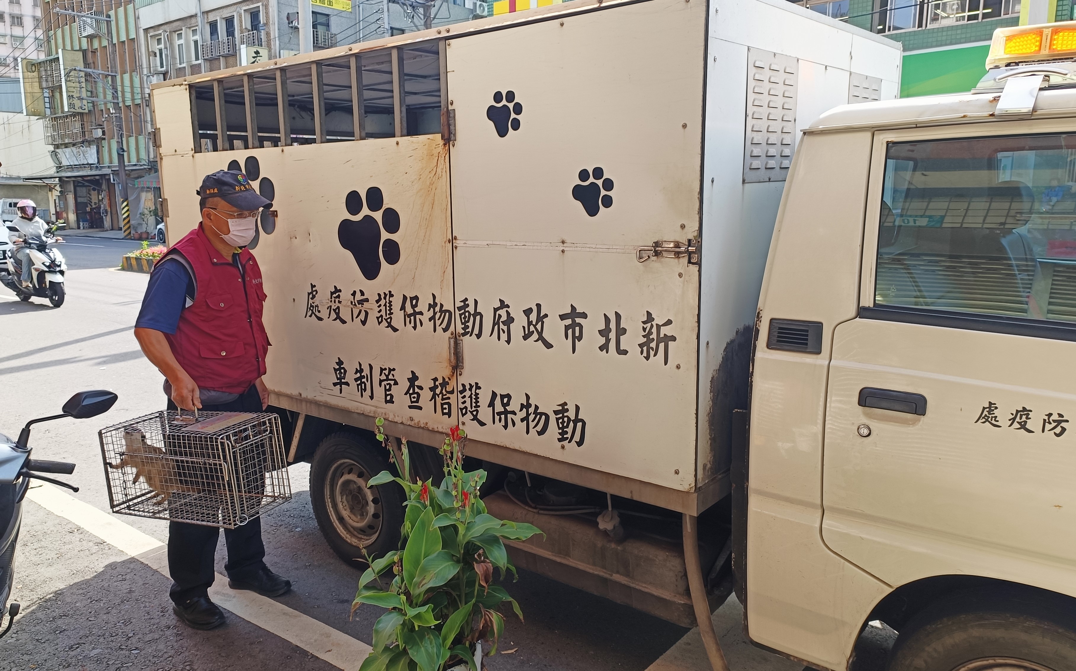 動保處將狐獴帶回安置並追查來源.jpg