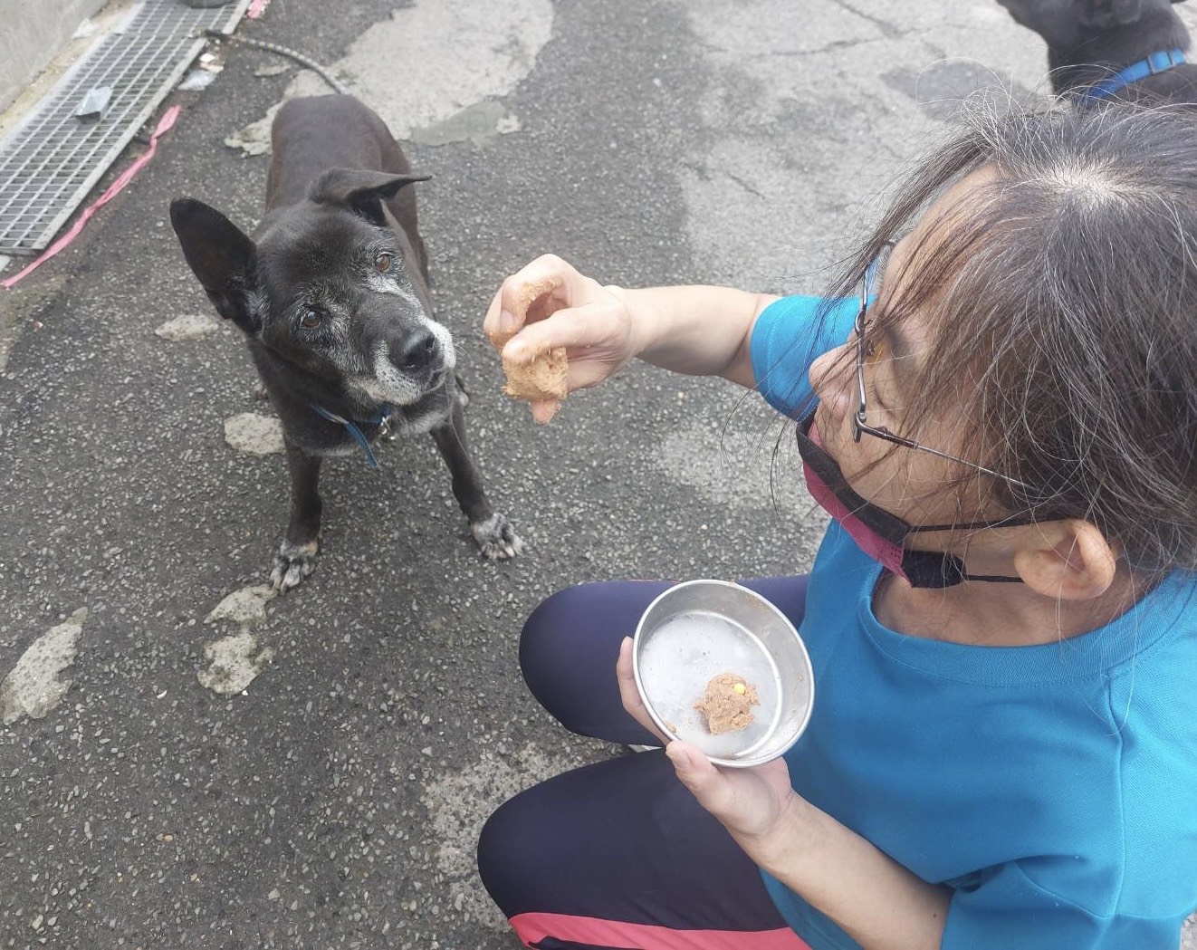 中和動物之家動保員文季嬌一口口餵食老犬。.jpg