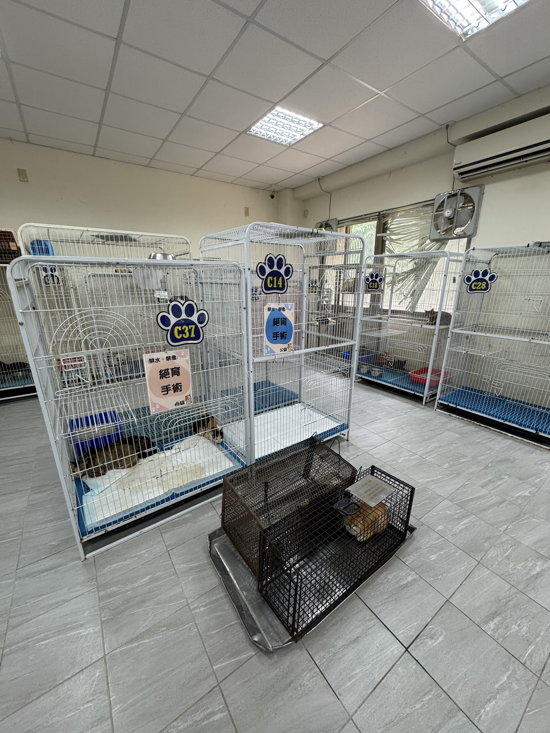 苗栗縣1959動物保護專線 守護毛小孩的第一道防線  圖片集錦，共 2 張