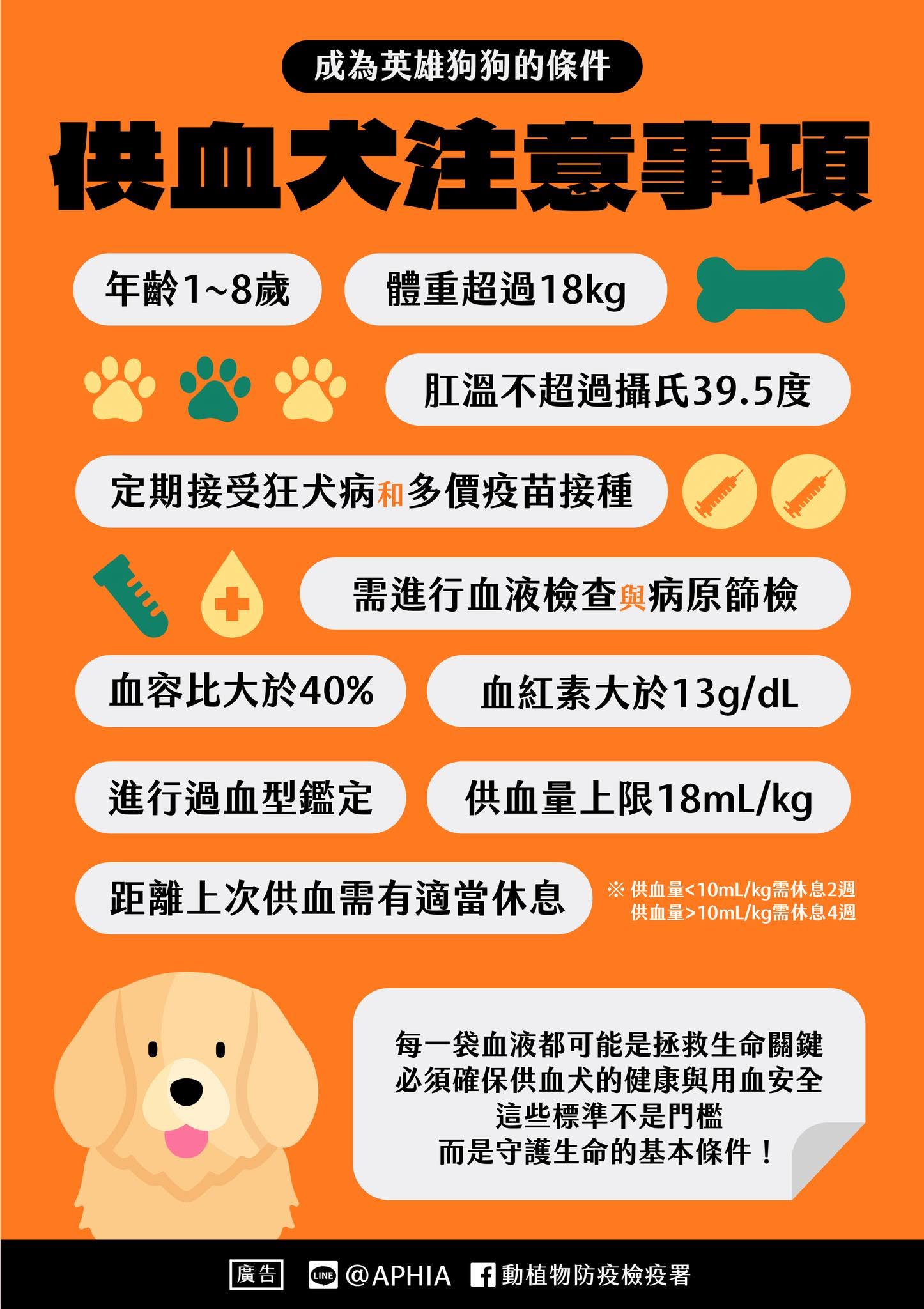 守護毛孩生命安全　供血犬貓健康把關不可輕忽 圖片集錦，共 2 張