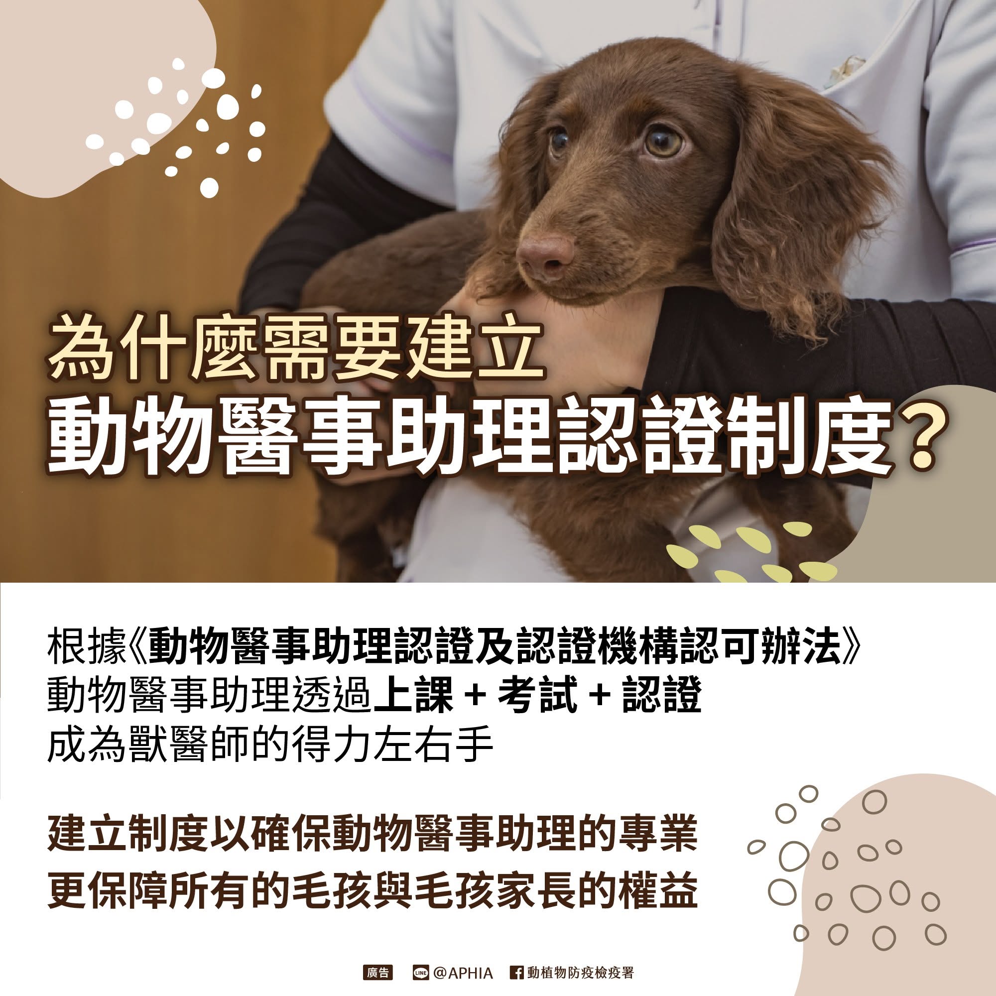 建立動物醫事助理認證制度　打造更專業的獸醫照護團隊  圖片集錦，共 2 張