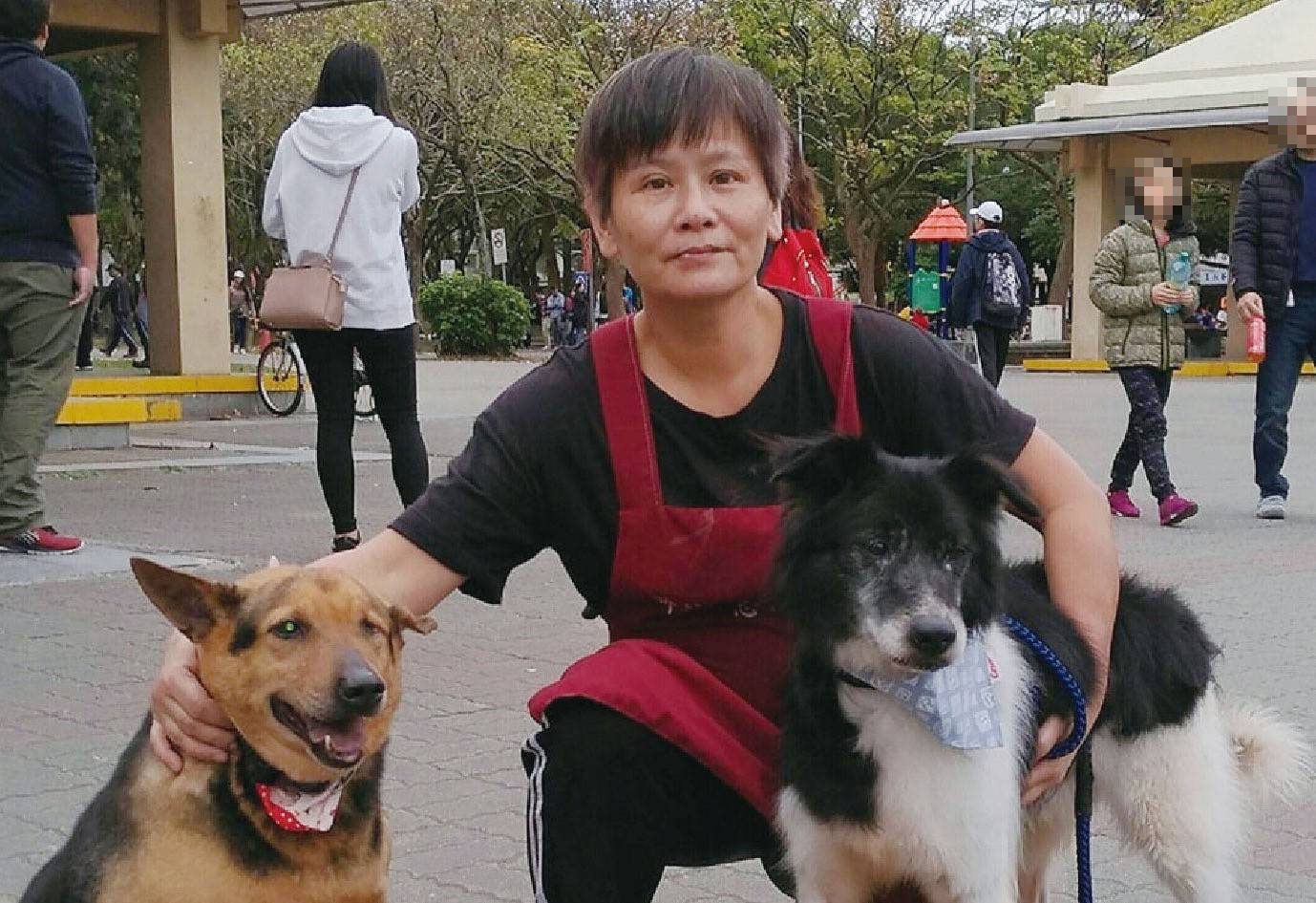 從遛狗到認養媒合，中和動保志工隊長黃新用陪伴守護每一隻毛寶貝   圖片集錦，共 7 張