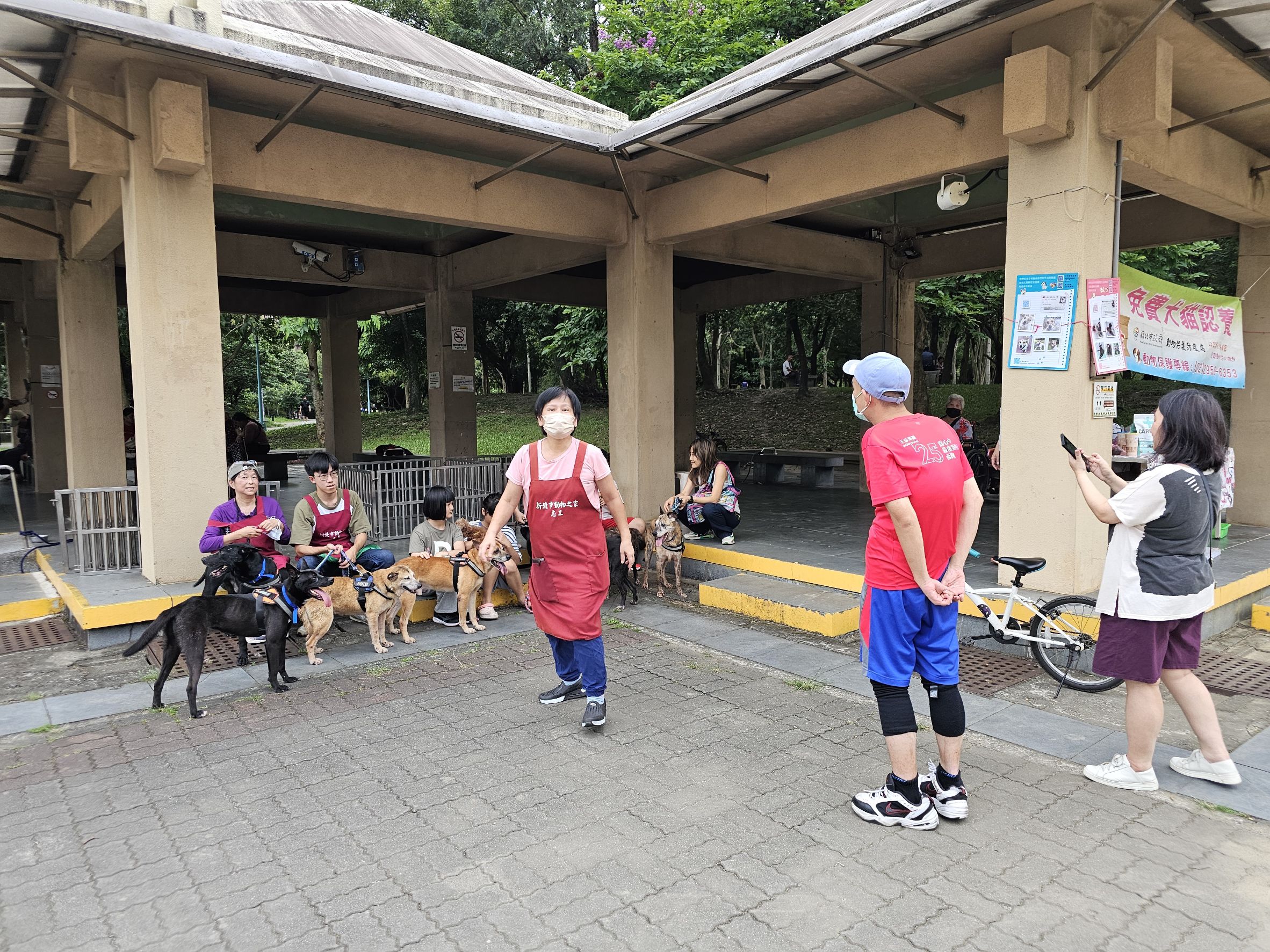 志工隊長黃新協助動物之家提高整體認養率。.jpg