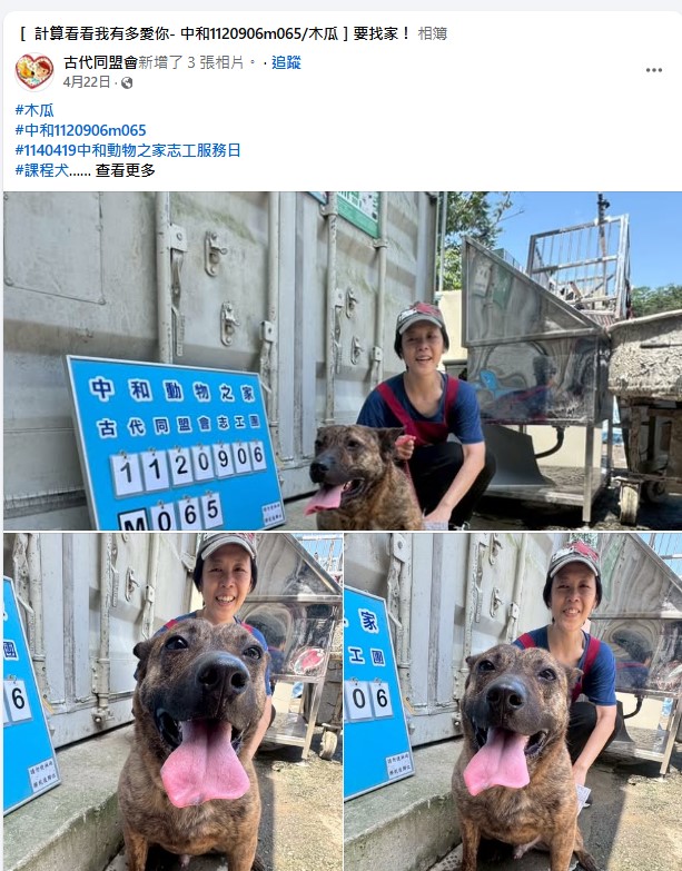臉書上宣傳狗狗的資料增加曝光率。.jpg