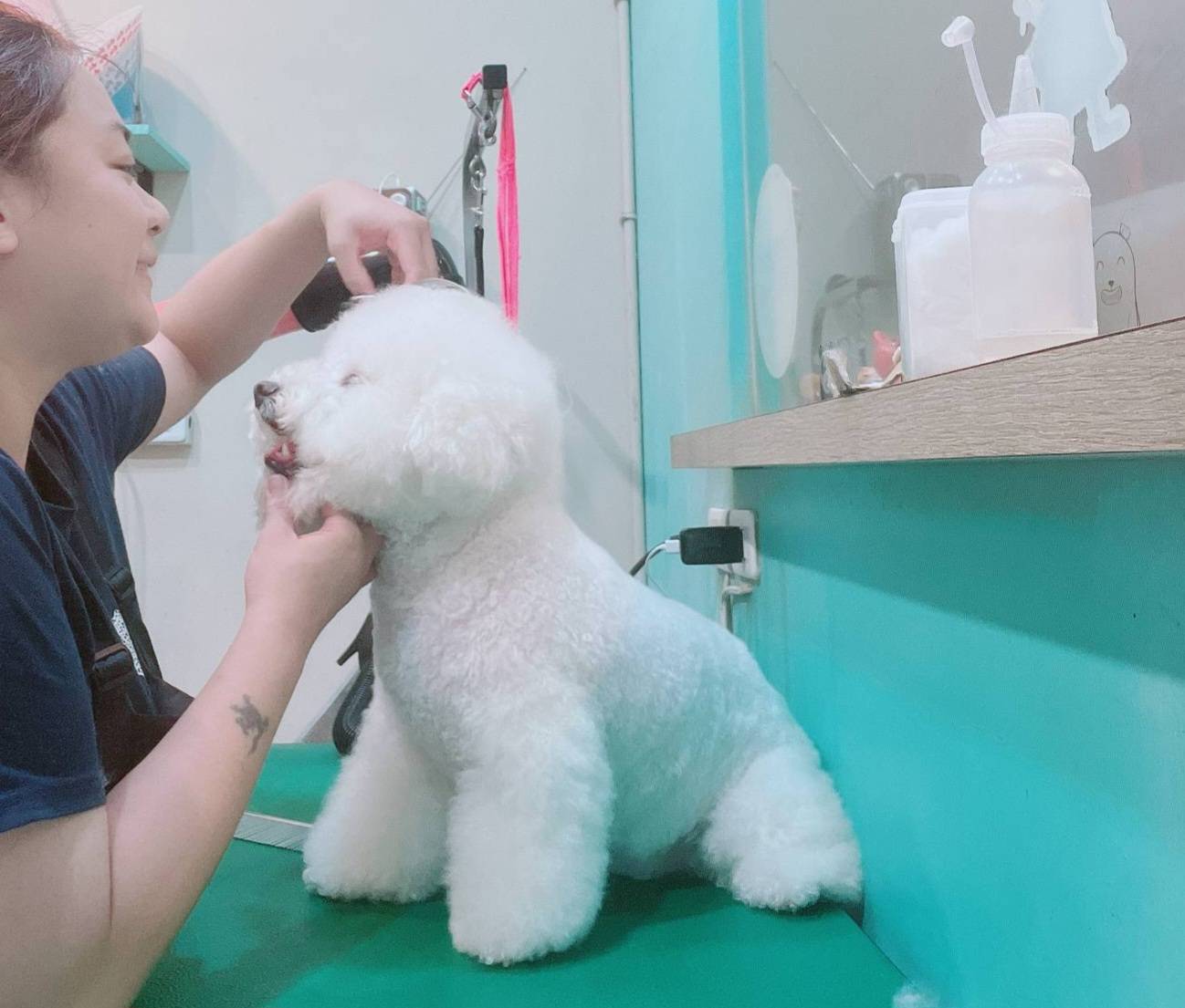 寵物美容-修整毛髮。.jpg
