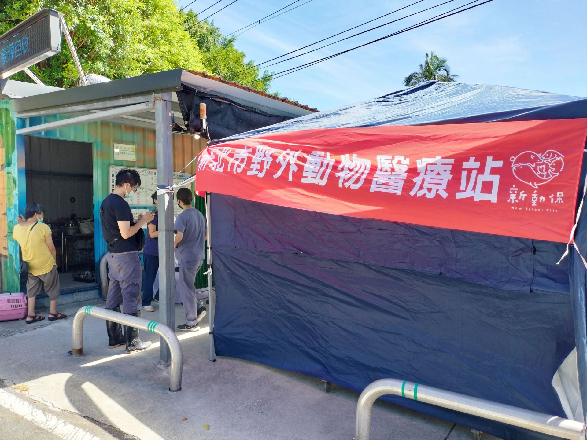 新北市推廣絕育雙管齊下，毛寶貝福利一個都不能少  圖片集錦，共 7 張