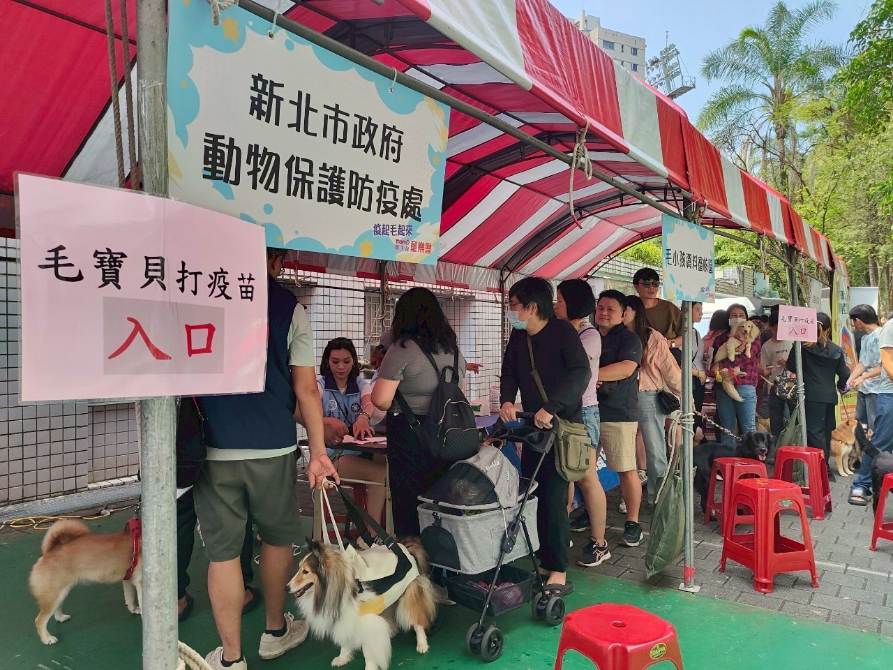 動保處每年定期辦理免費狂犬病疫苗巡迴注射活動。.jpg