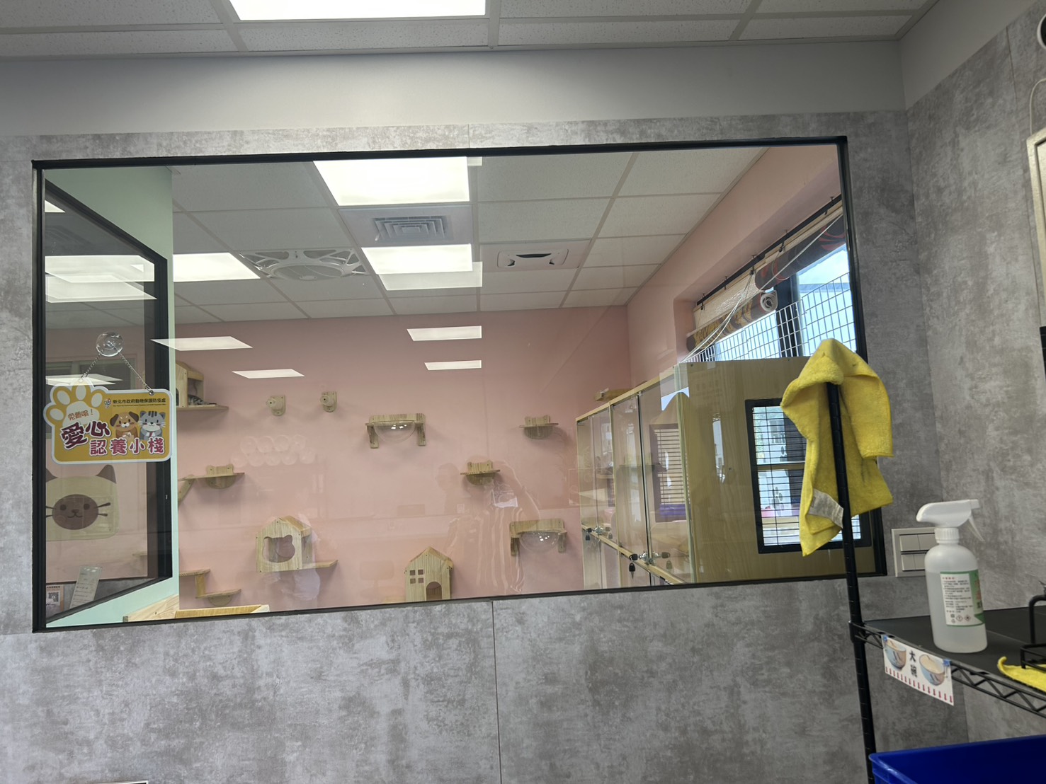 新北市動保處首創結合餐廳 成立愛心認養小棧  圖片集錦，共 7 張