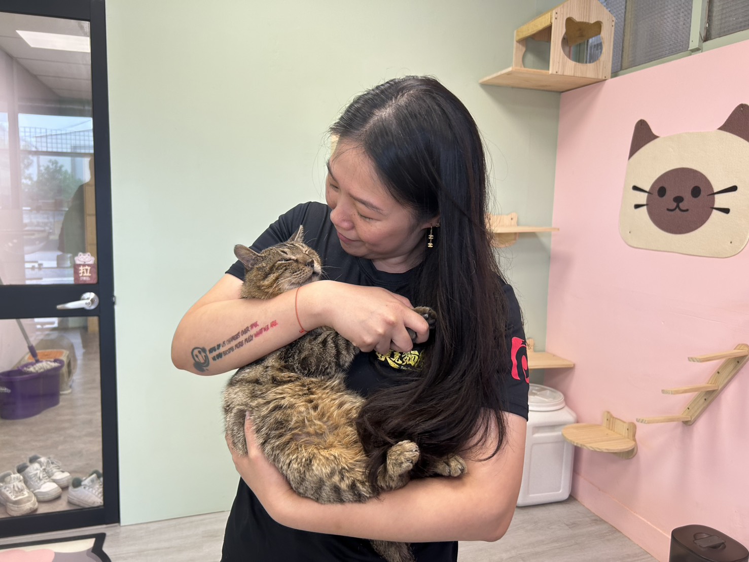 闆娘抱著恢復健康在店內等待認養的虎爺。.jpg