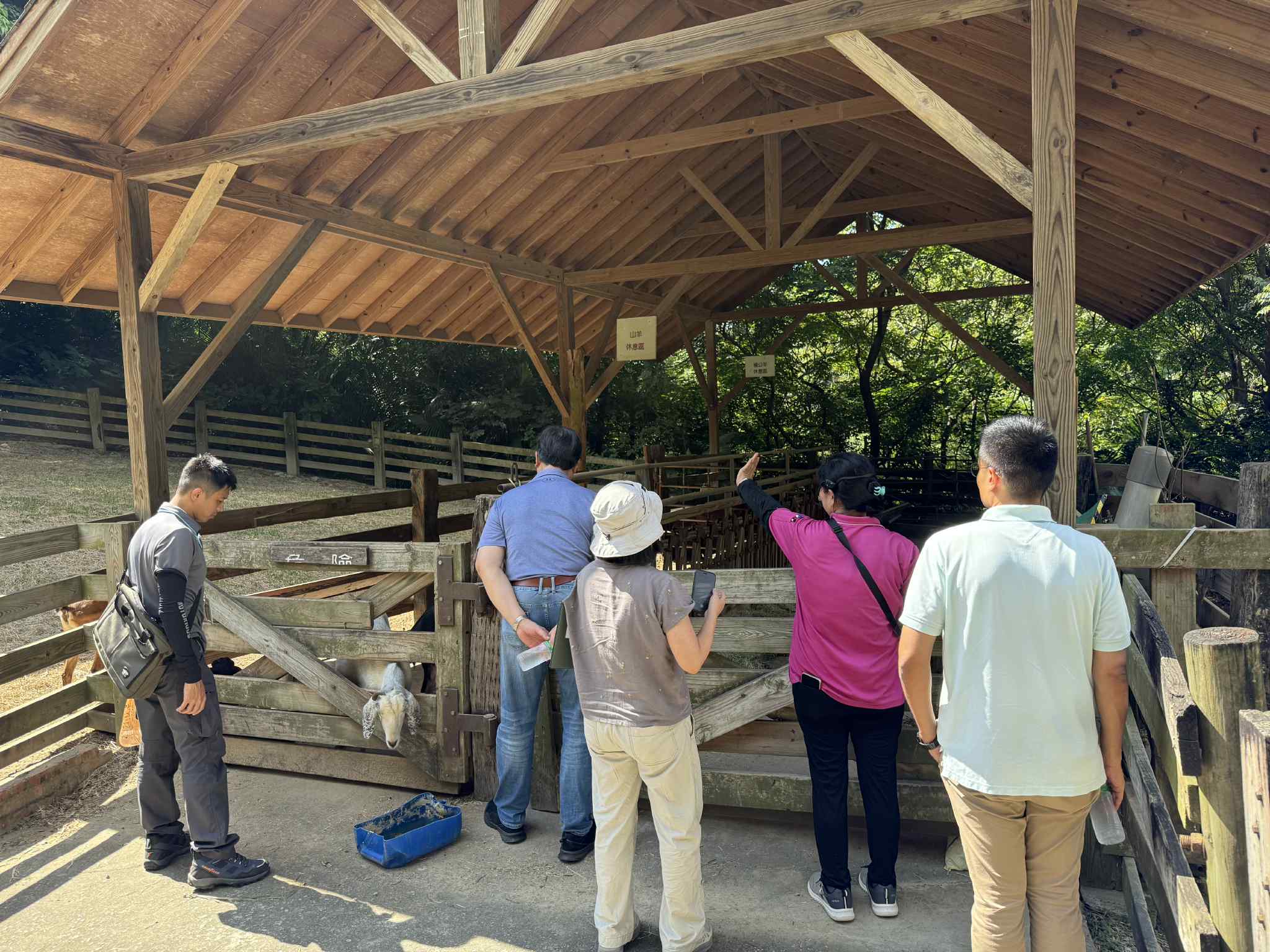 苗栗縣114年動物展演業者評鑑結果 圖片集錦，共 3 張