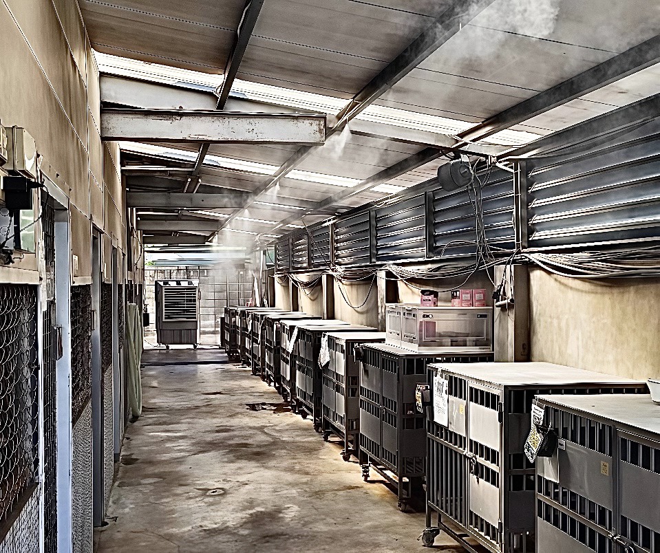 近日高溫，新北總動員讓毛寶貝清涼一夏 圖片集錦，共 7 張