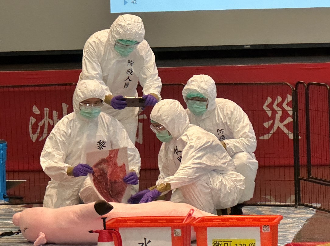 新北辦理非洲豬瘟兵棋推演，以模擬劇呈現生物安全措施 圖片集錦，共 9 張