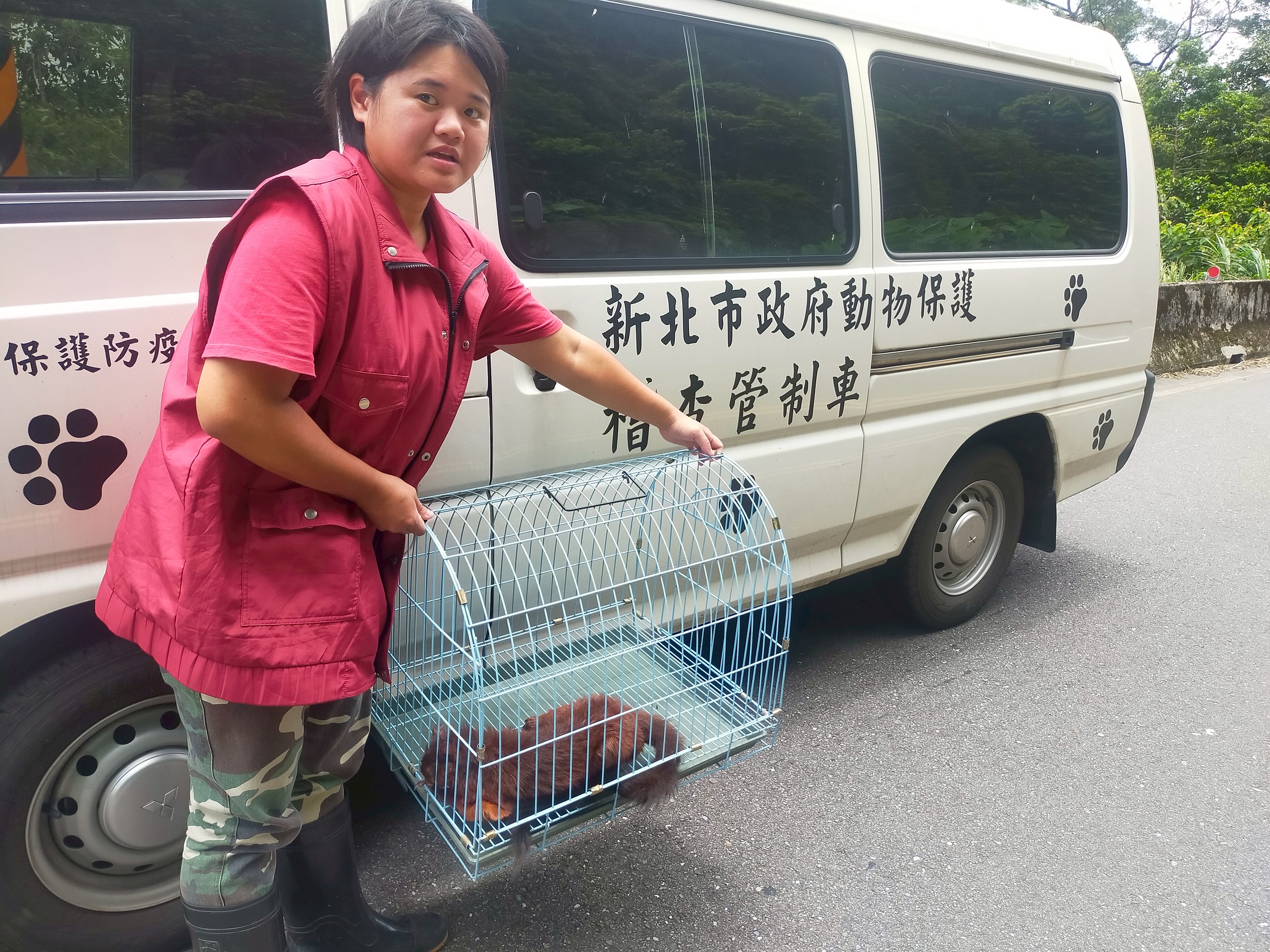 動保員將大赤鼯鼠裝籠載回動物之家安置。.jpg
