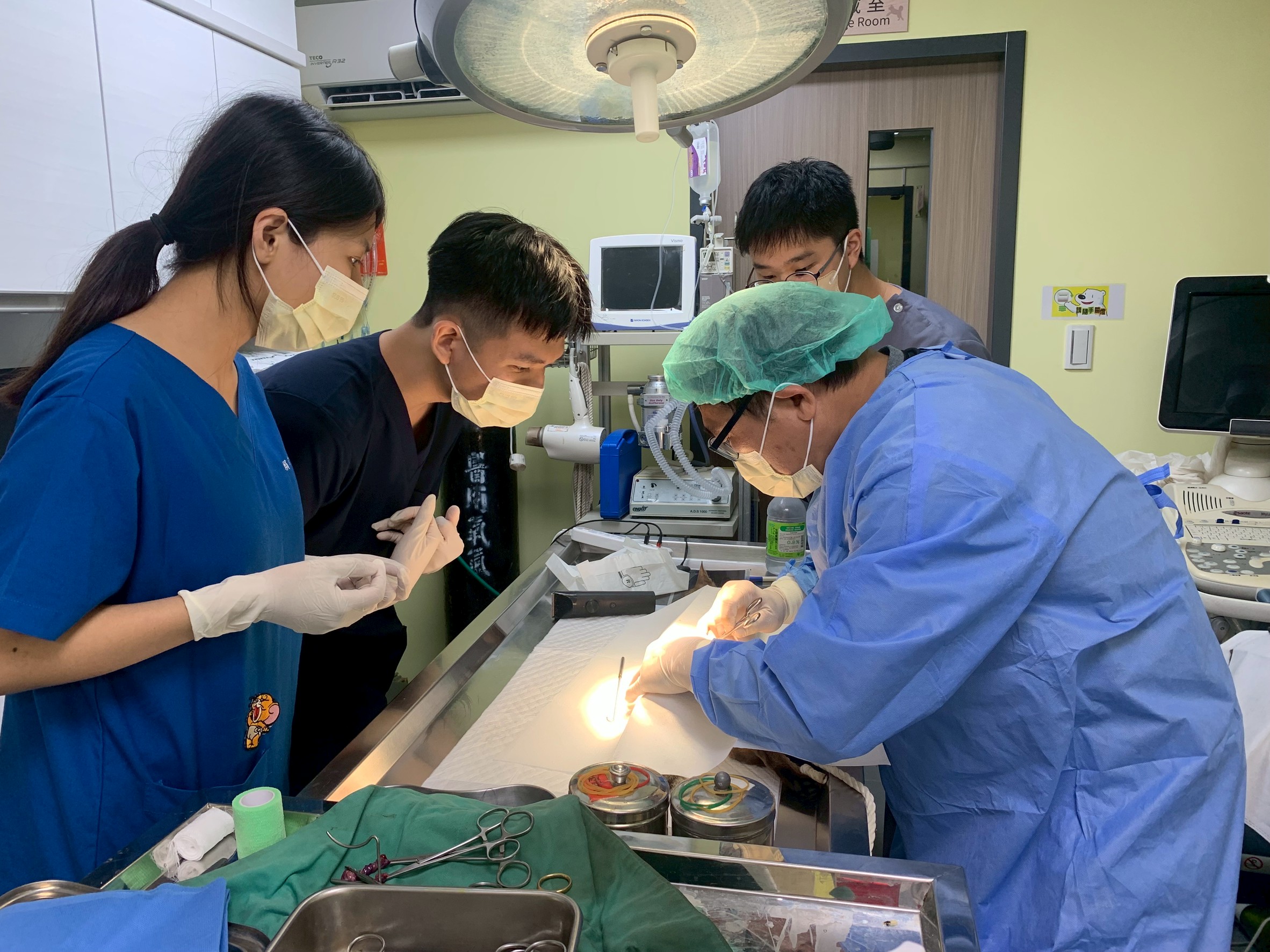 新北動保與獸醫系合作 學生暑期學習不中斷  圖片集錦，共 6 張