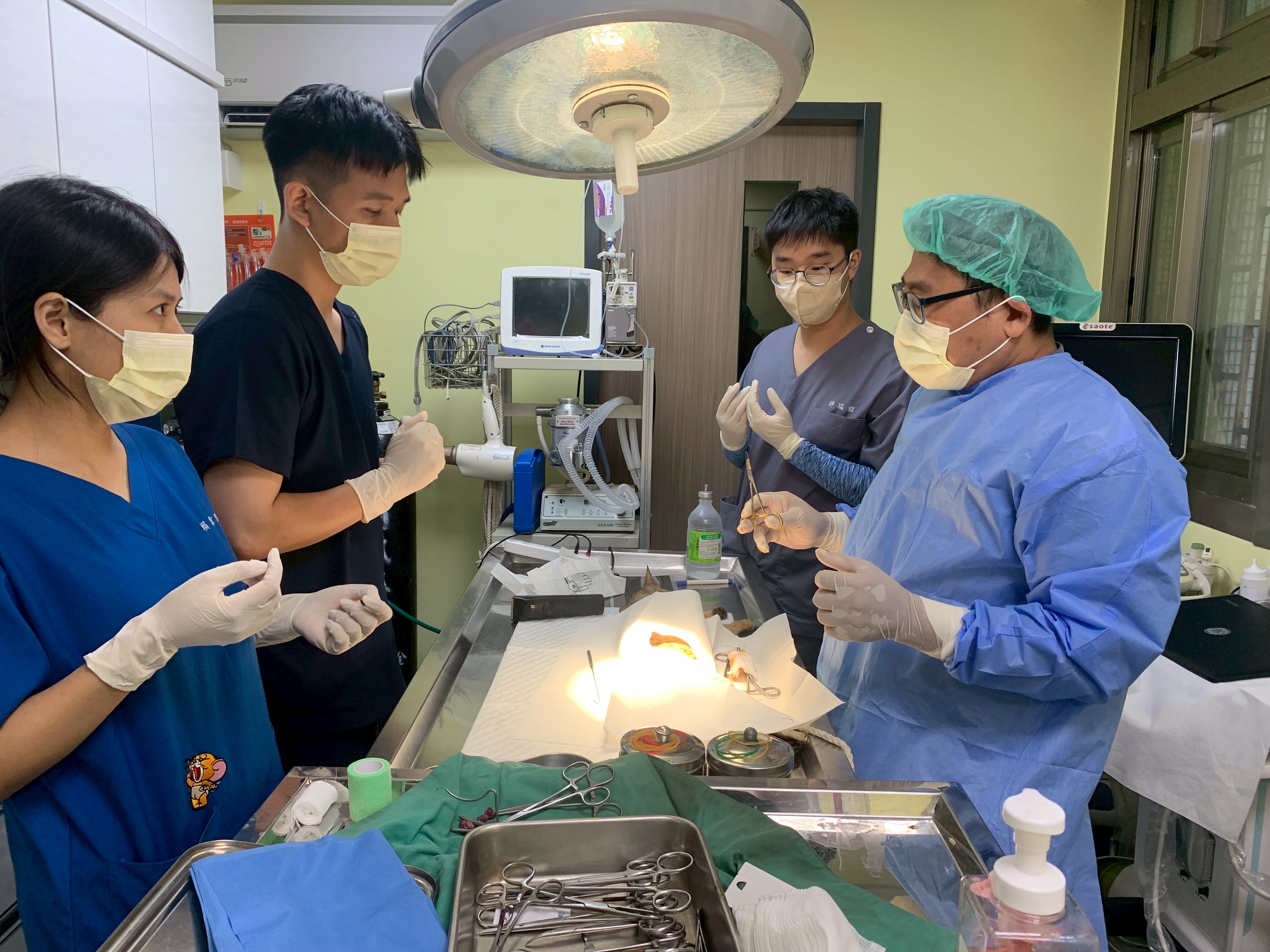 在毛寶貝醫療中心進行手術.jpg