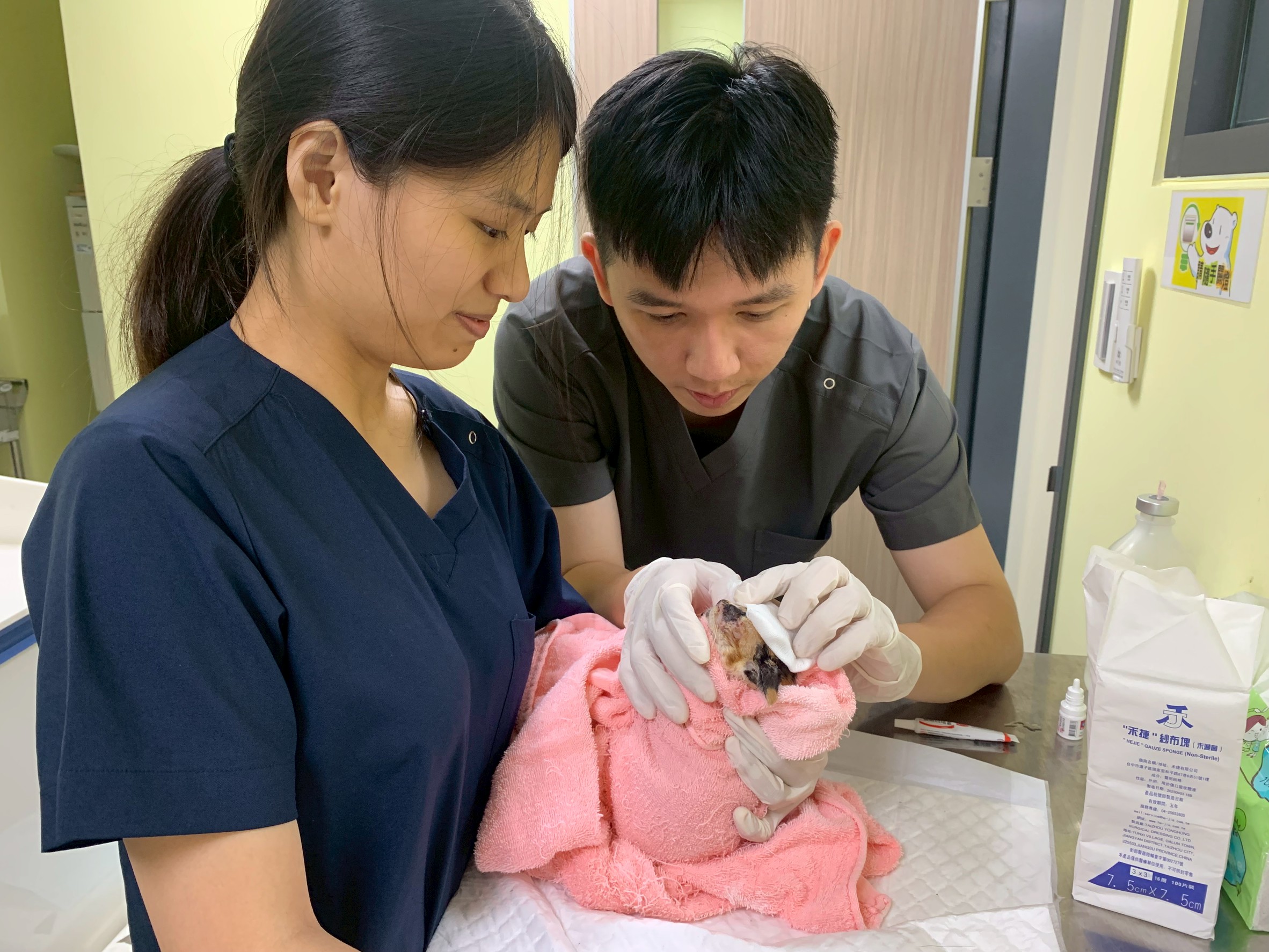 林頎凱實習生幫幼貓清潔眼睛。.jpg