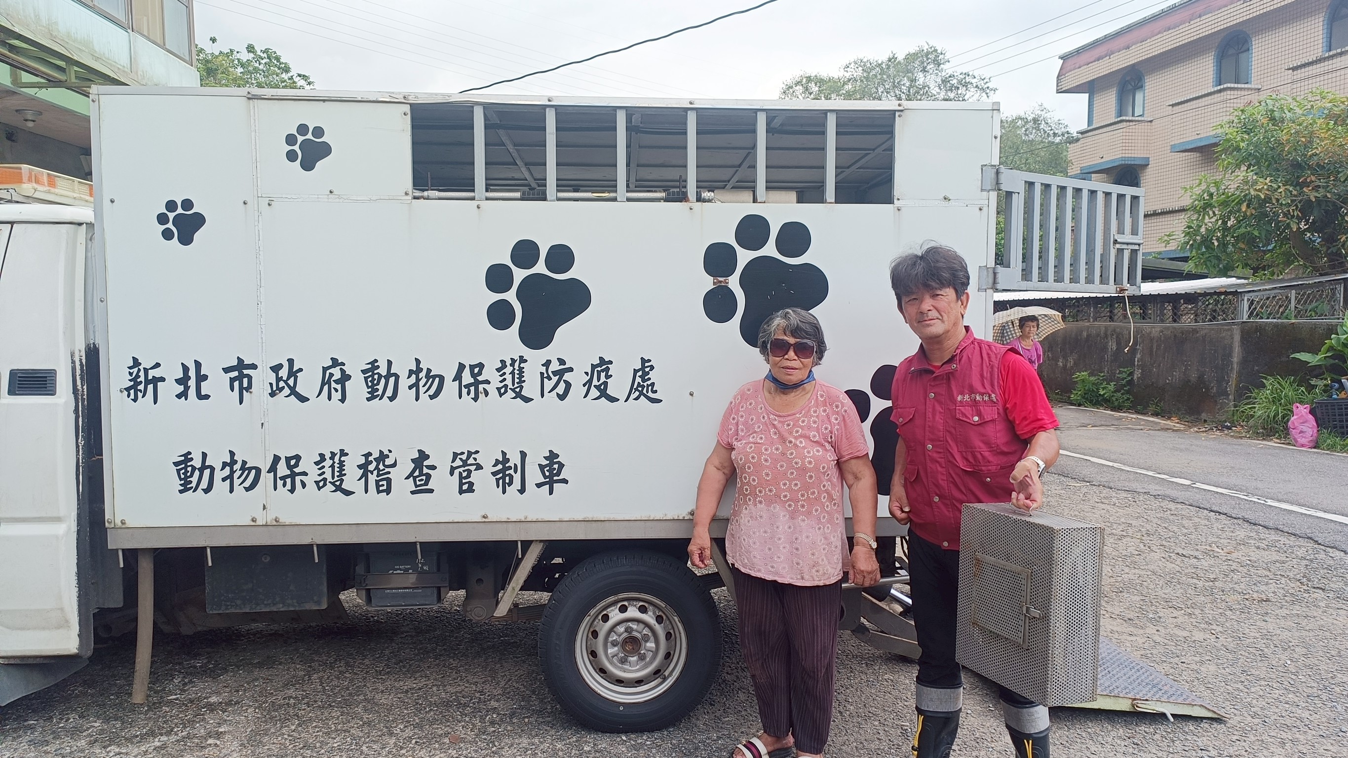 2公尺臭青母誤闖農舍困魚網 新北動保員左手抓蛇右手持剪 破網救蛇 圖片集錦，共 7 張