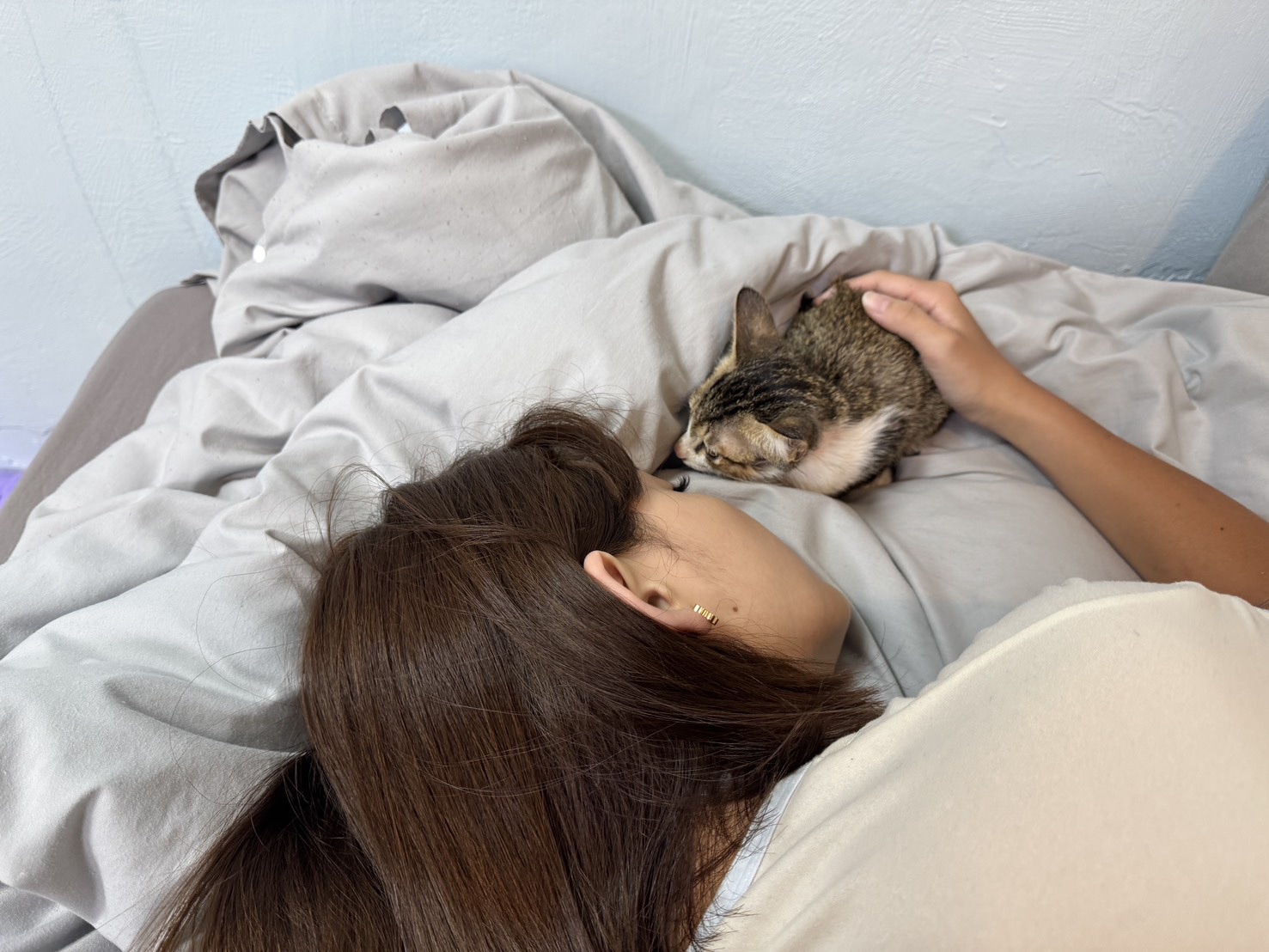 幼貓誤陷黏鼠板險喪命，新北動保處救援助牠找到歸宿 圖片集錦，共 7 張