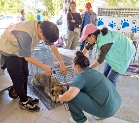 一年一次的守護承諾　中市動保處梨山專案暨928世界狂犬病日巡迴注射活動圓滿落幕 圖片集錦，共 15 張