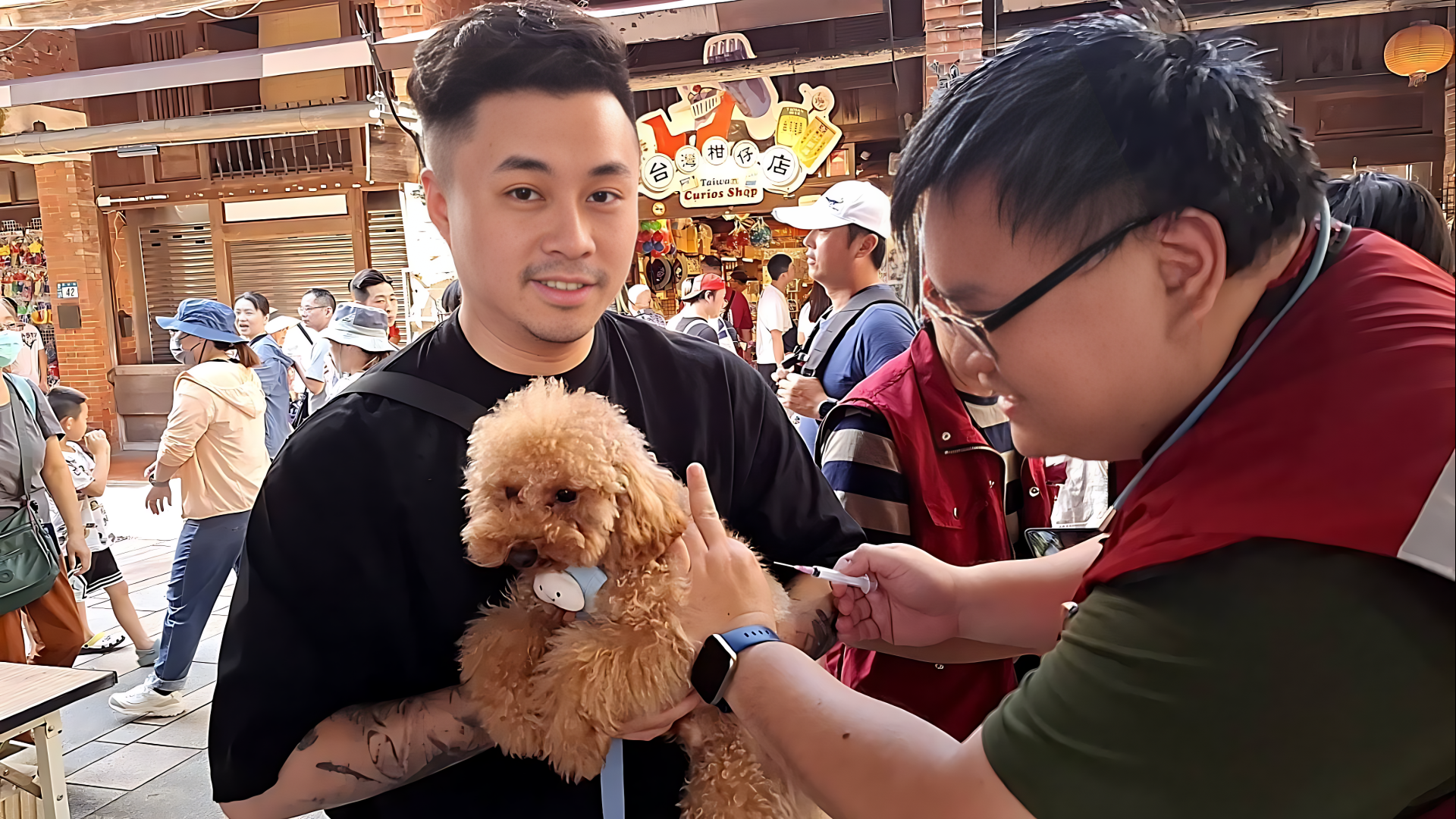 世界狂犬病日 深坑「寵物狂歡節」音樂會 圖片集錦，共 7 張