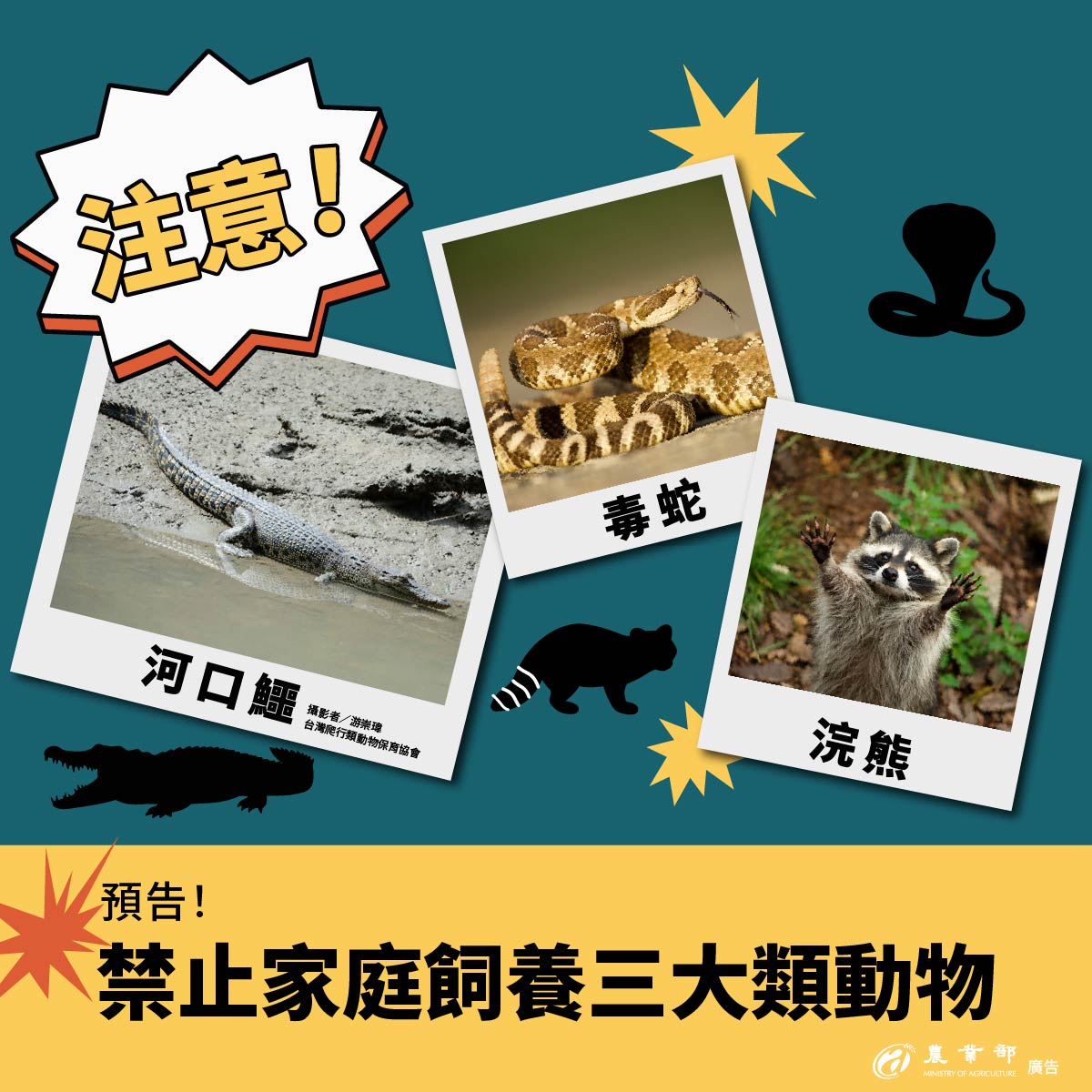 農業部精進寵物分類分級管理制度 預告禁止家庭飼養641種危險動物  圖片集錦，共 1 張