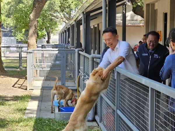 毛起來愛 × 人寵共融  桃園動保處籲關注動物保護且終身不棄養 圖片集錦，共 3 張