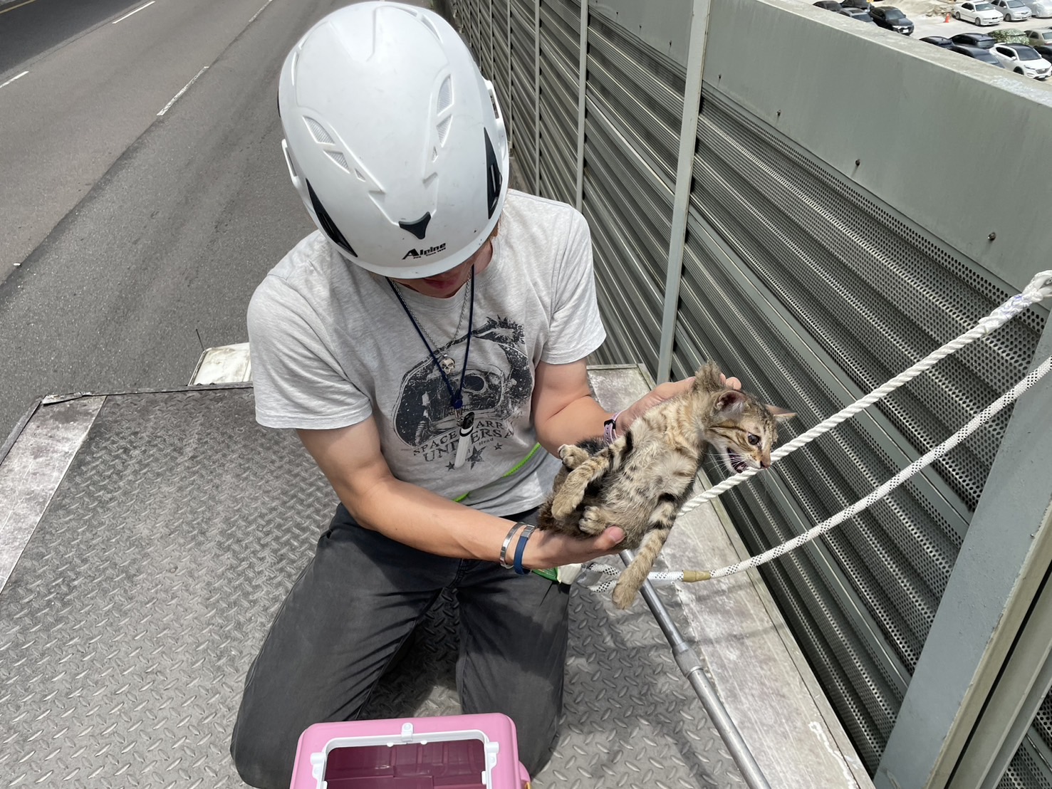 動保處救援動物24小時不間斷.jpg