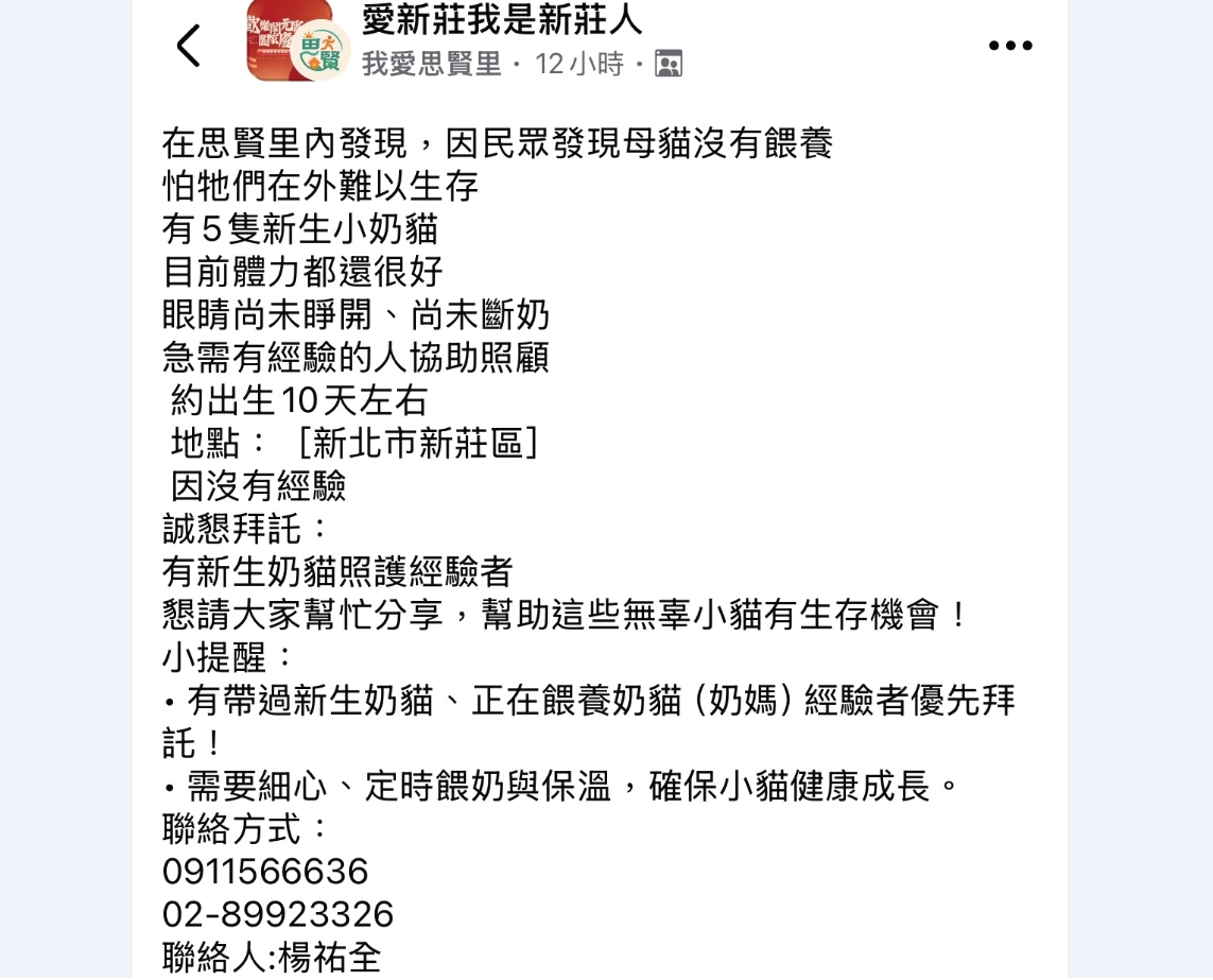 熱心里長幫忙找人照顧小貓.jpg
