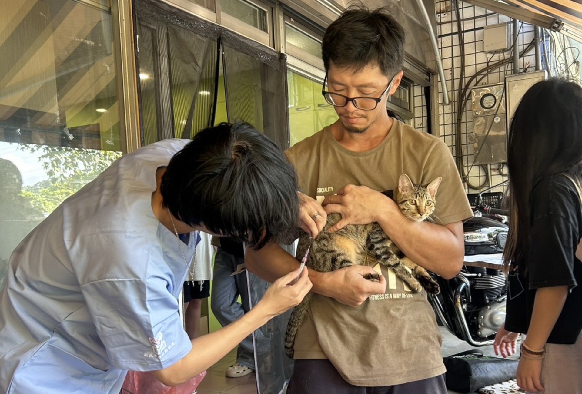 新北喵星人快報戶口！115年未登記最高可罰新臺幣1萬5千元 圖片集錦，共 5 張