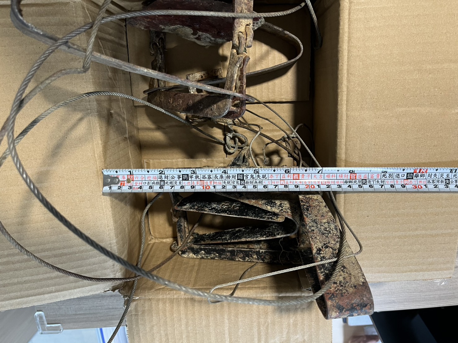 12月14日世界猴子日 新北市動保處呼籲和平共存遵守「五大原則」 圖片集錦，共 6 張