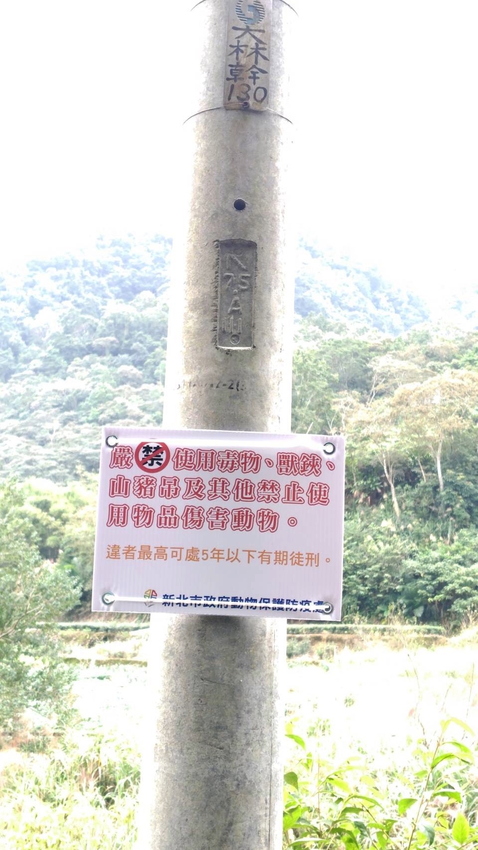 嚴禁使用傷害動物陷阱及藥物公告.jpg