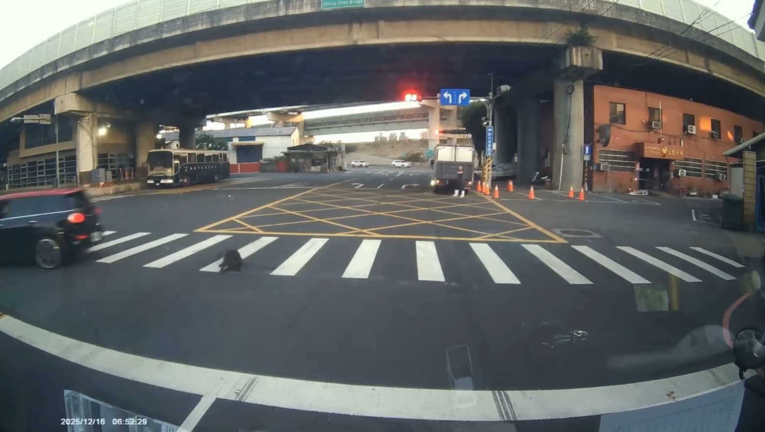 車子輾過犬隻影像截圖5.jpg