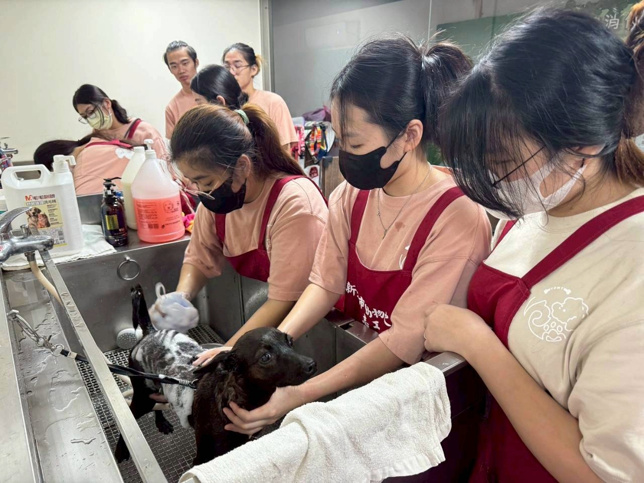 同學協助所內毛寶貝洗澡美容.jpg