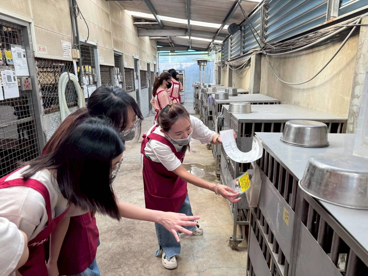 同學們到犬舍參觀，了解動物之家運作。.jpg