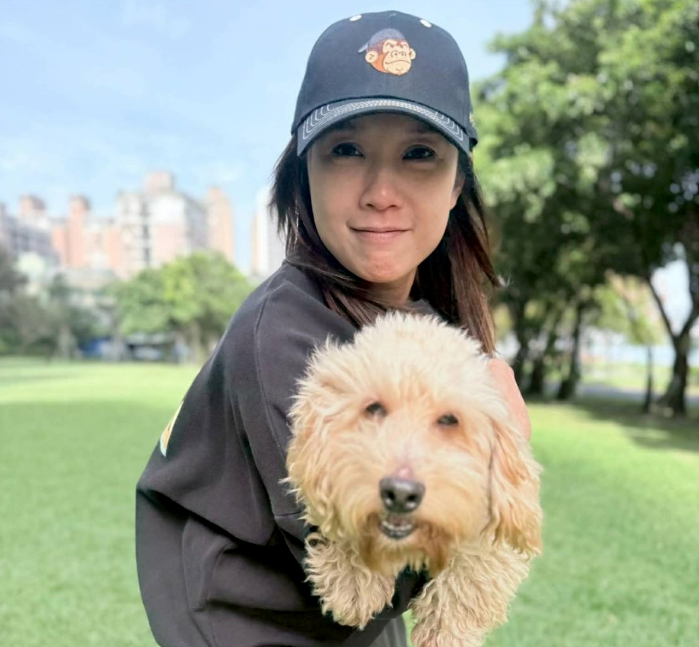 創意行銷收奇效 新北動保助超萌「米克斯」回歸幸福！  圖片集錦，共 6 張