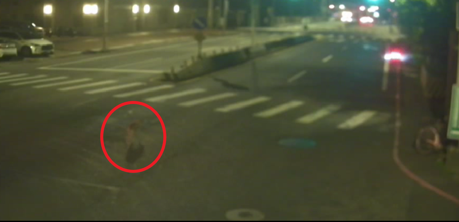遊蕩犬穿越馬路1.png