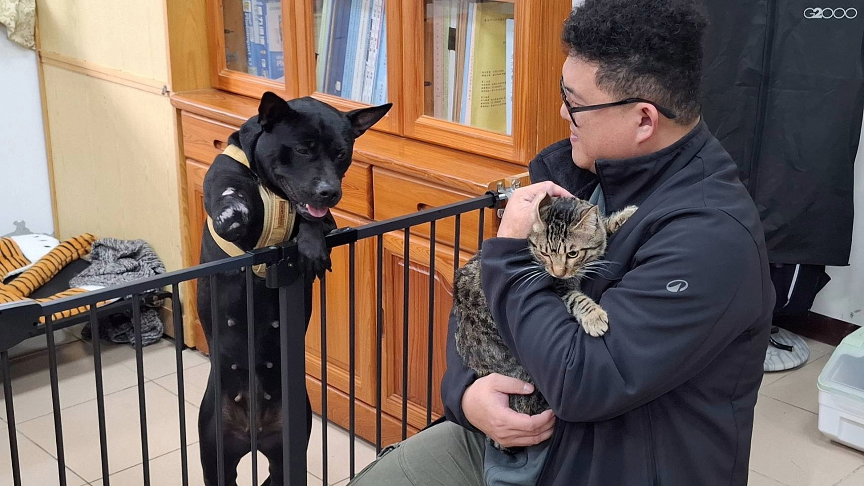 訓體組長楊忠傑抱貓老和校犬安生互動.jpg