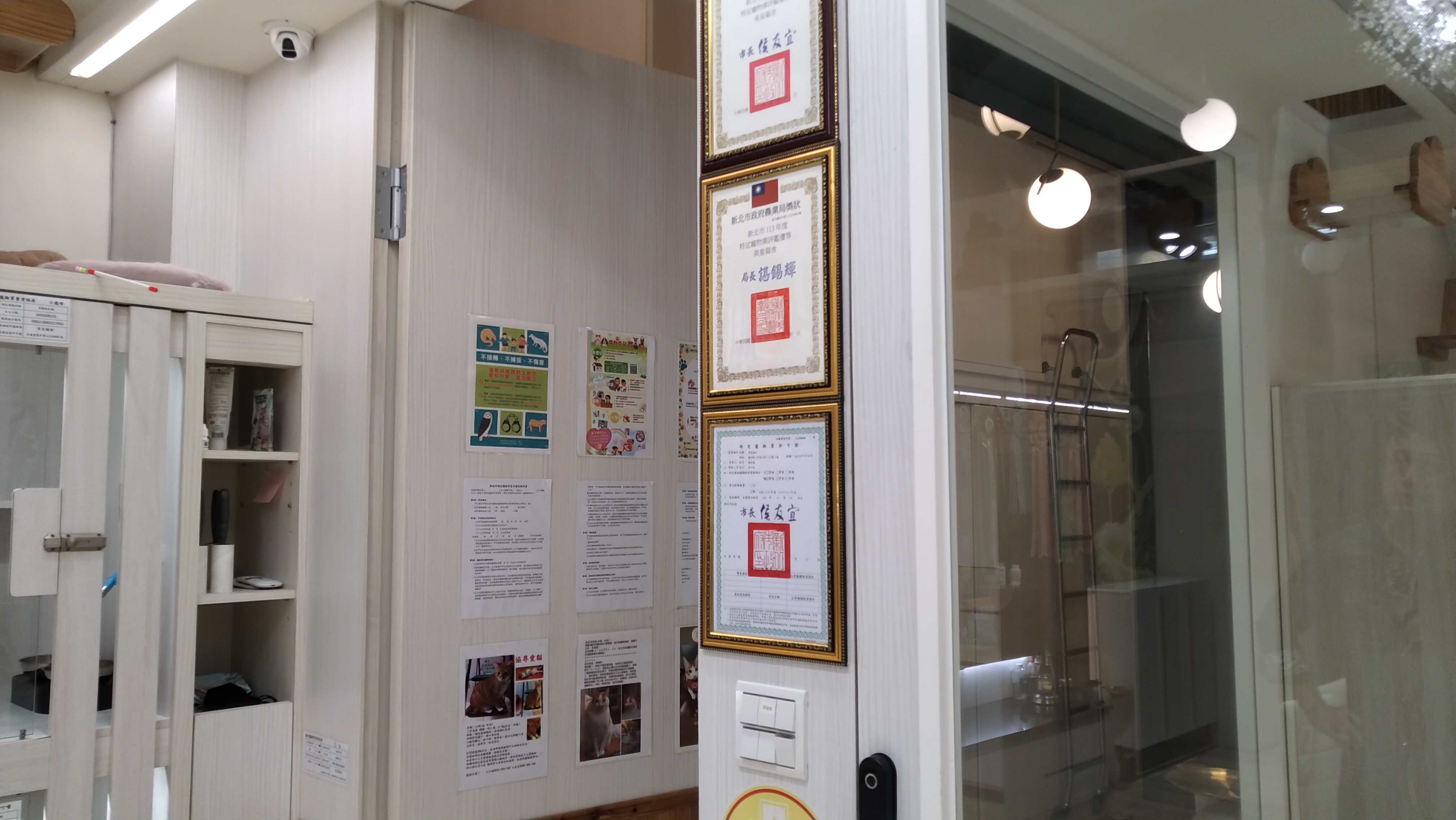 購買犬貓發生糾紛代價高　新北提醒選購寵物要三思 圖片集錦，共 7 張